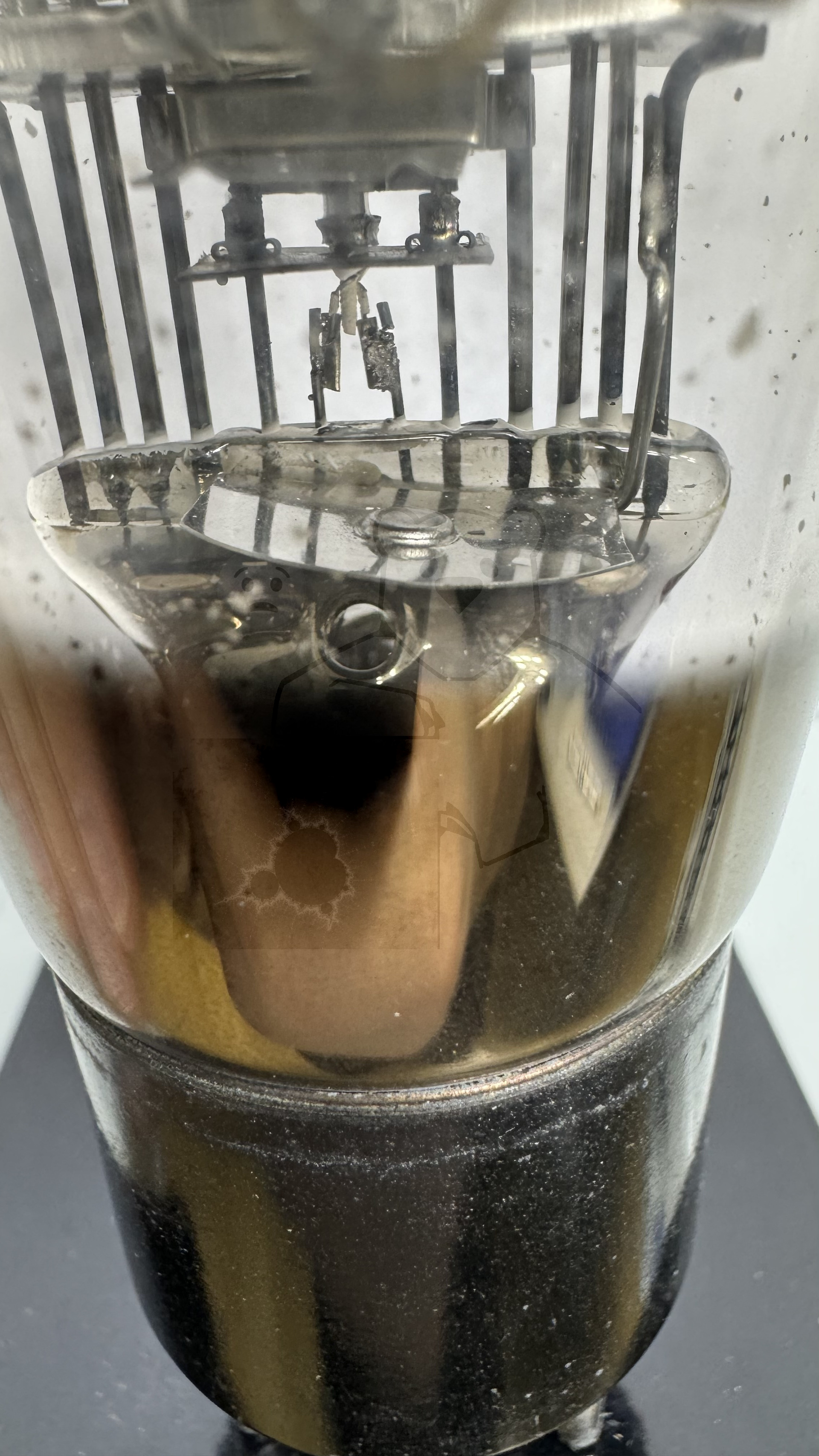 Röhre RENS1254 #7901 Bild 8