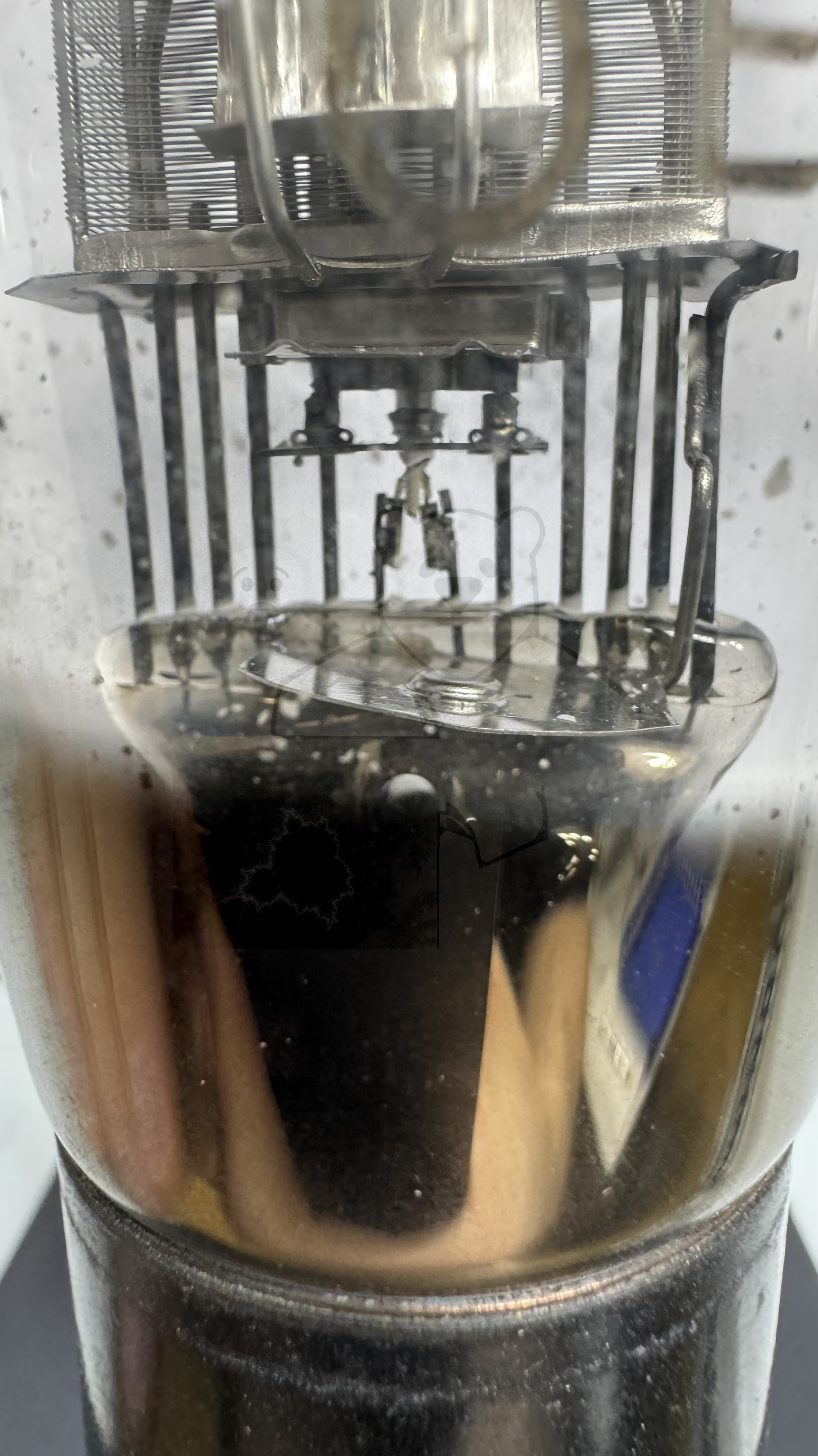 Röhre RENS1254 #7901 Bild 9