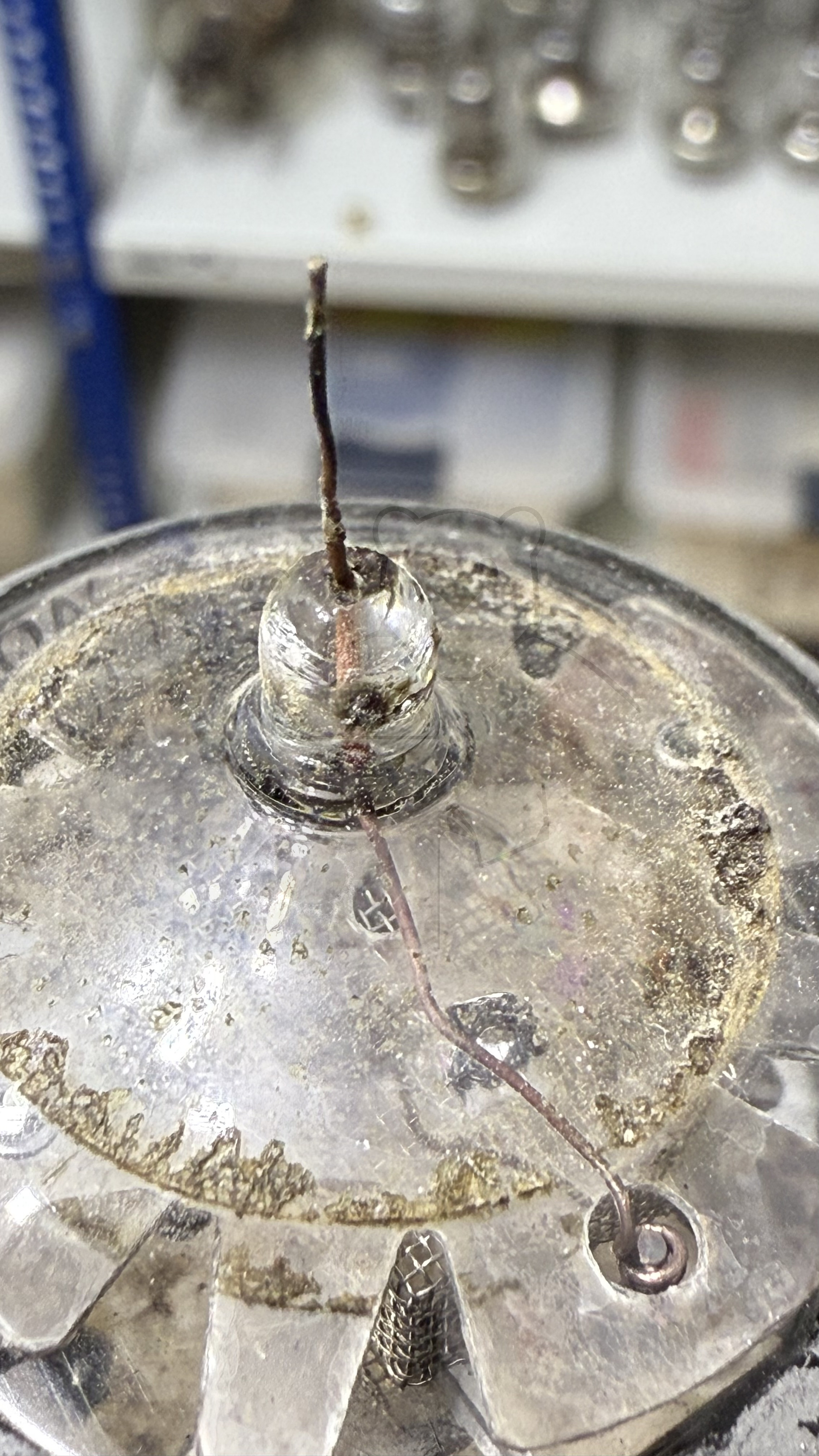 Röhre RENS1284 #8301 Bild 7