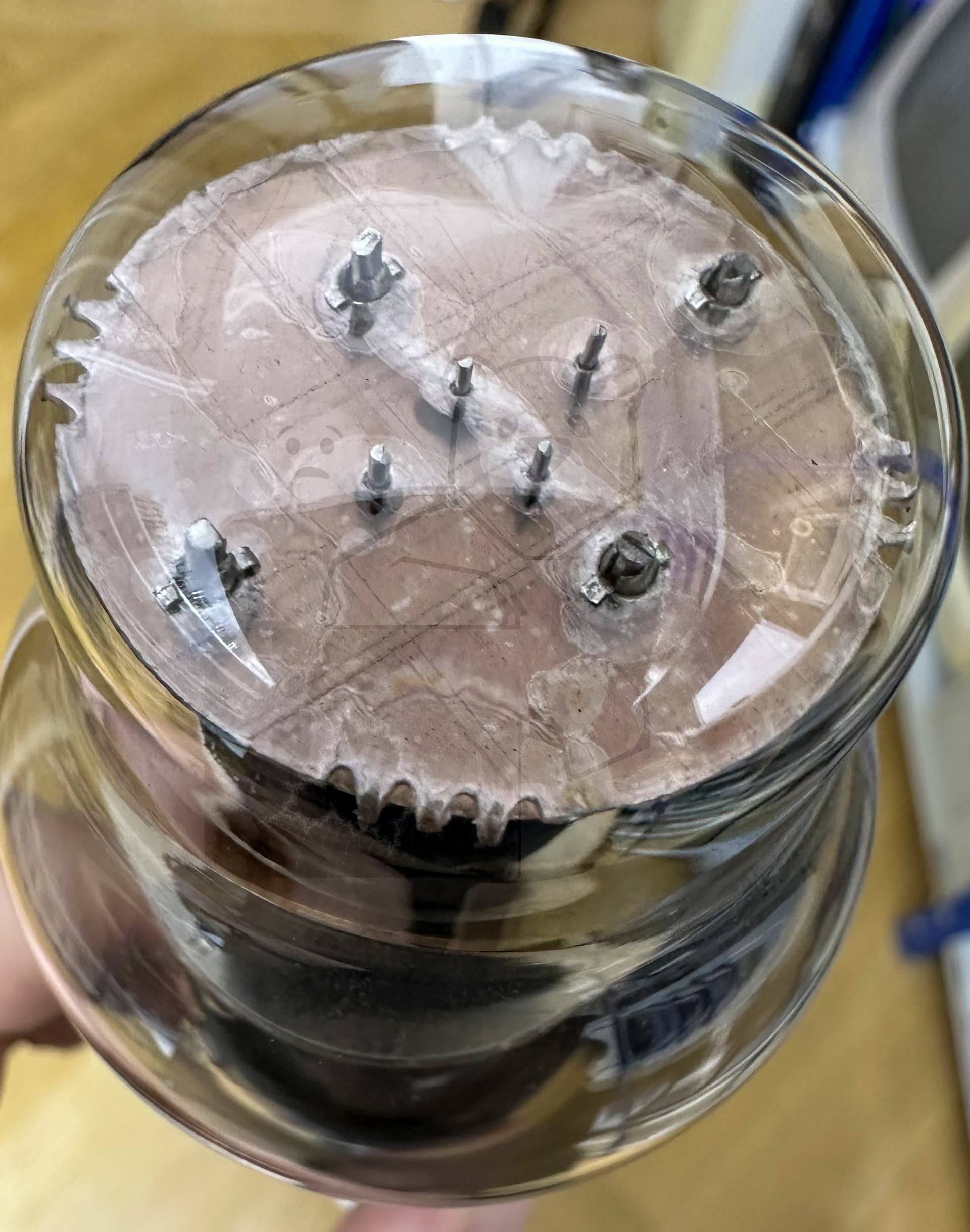 Röhre RENS1374d #6667 Bild 3