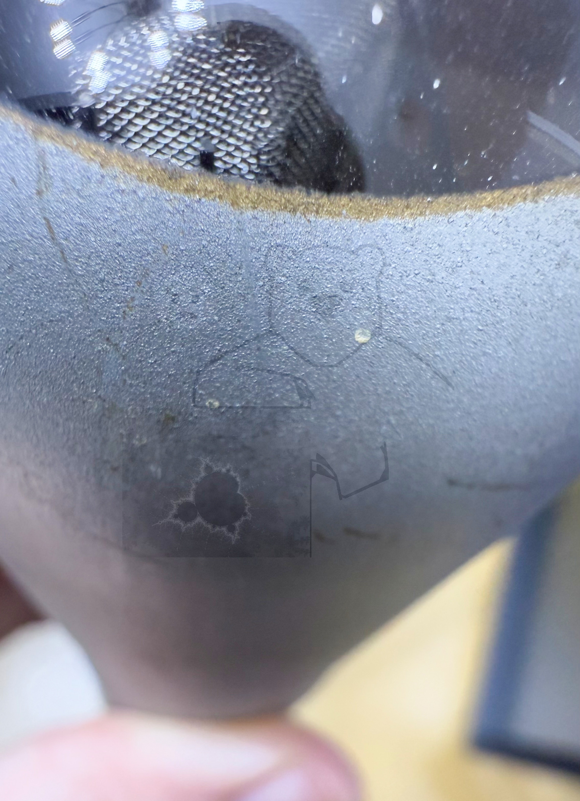 Röhre RENS1884 #6345 Bild 9