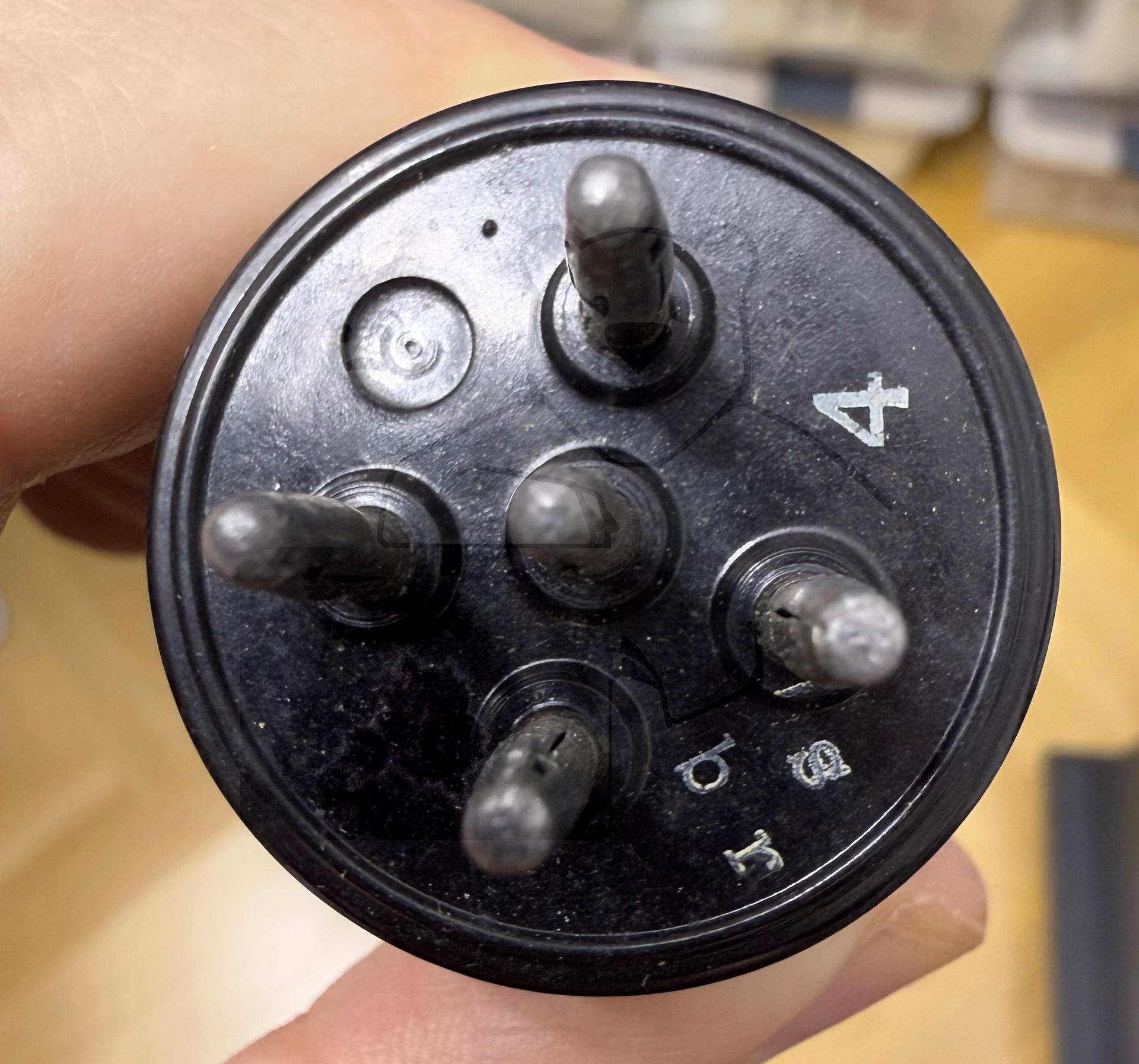 Röhre RENS1884 #6346 Bild 8