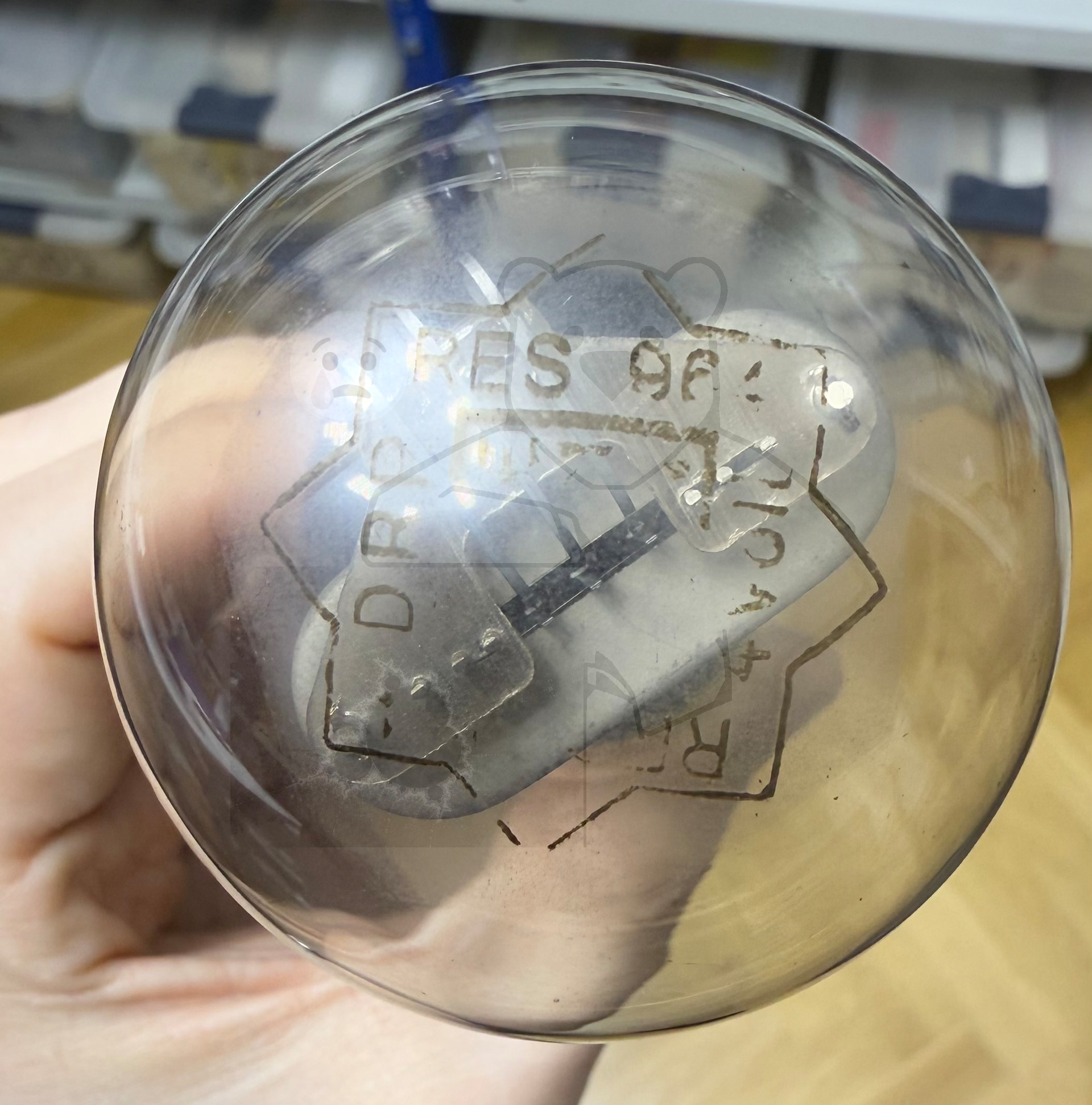 Röhre RES964 #4603 Bild 23