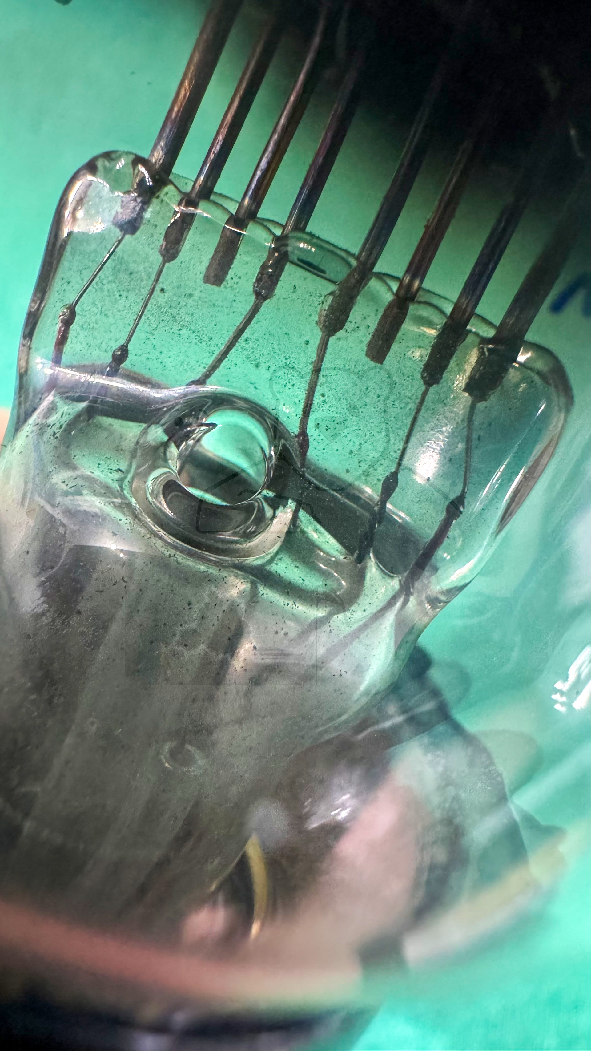 Röhre REZ124s #4742 Bild 7