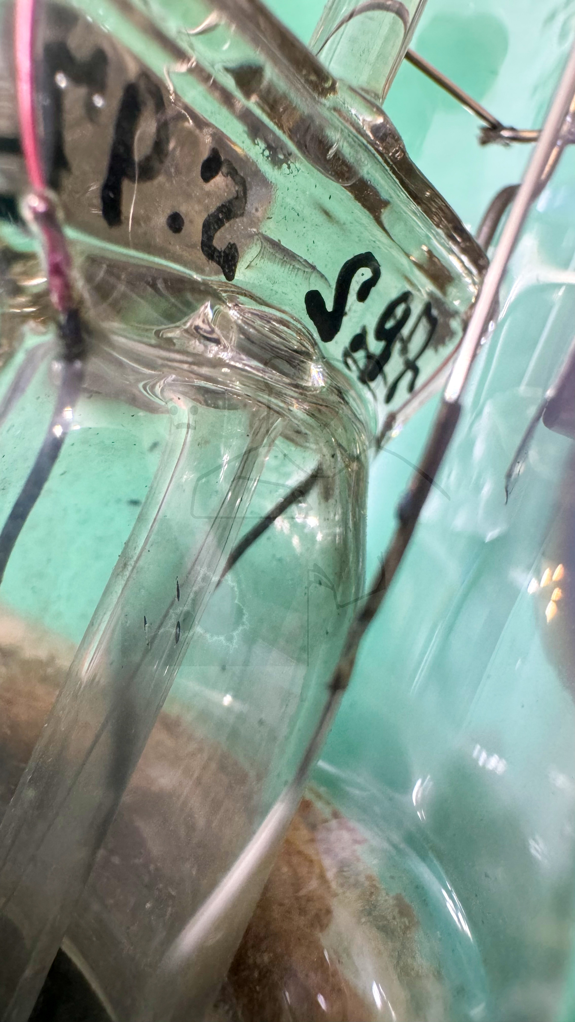 Röhre RFG1 #3816 Prototyp Bild 14