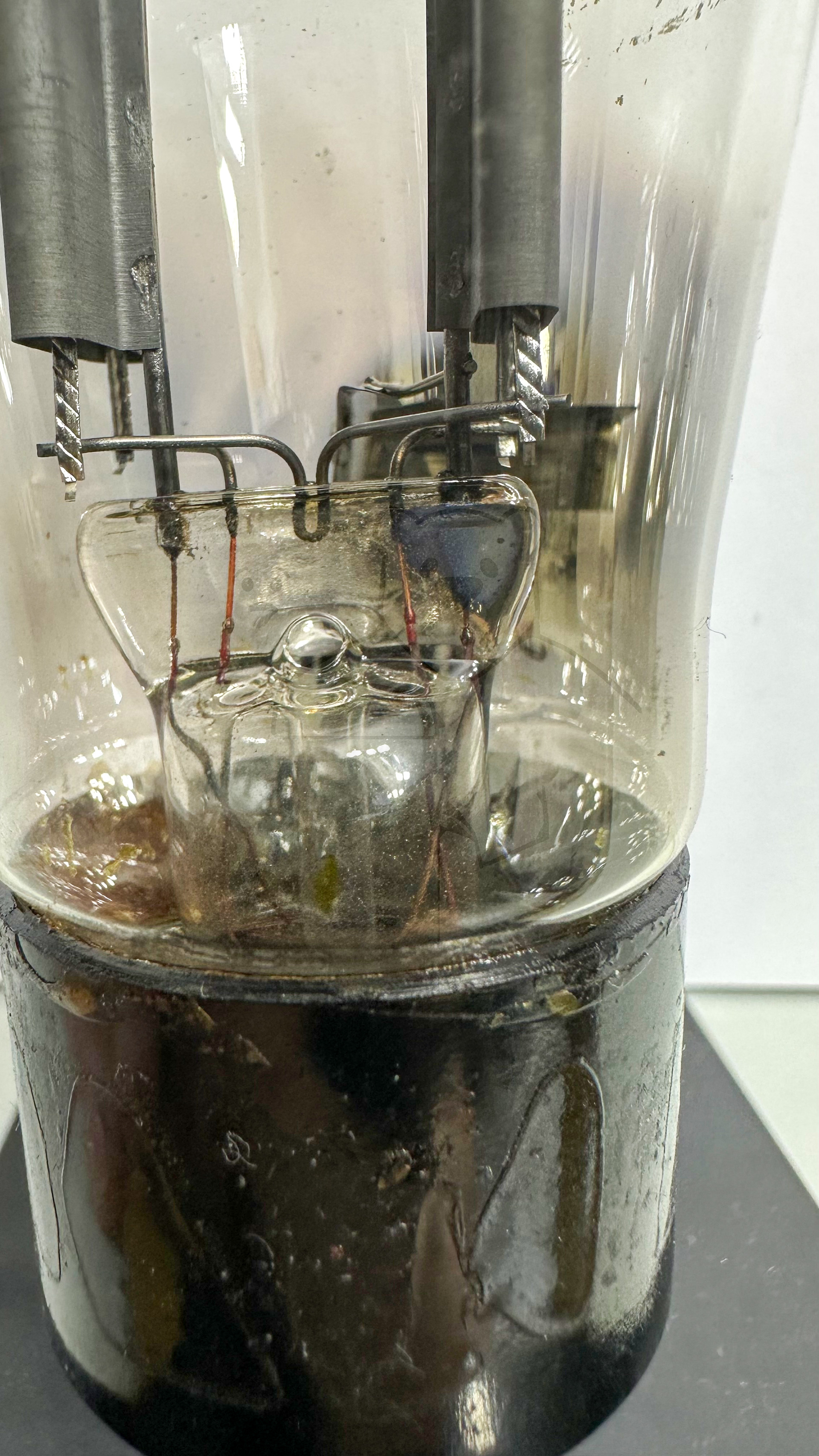 Röhre RGN1064 Spez F #3786 Bild 2