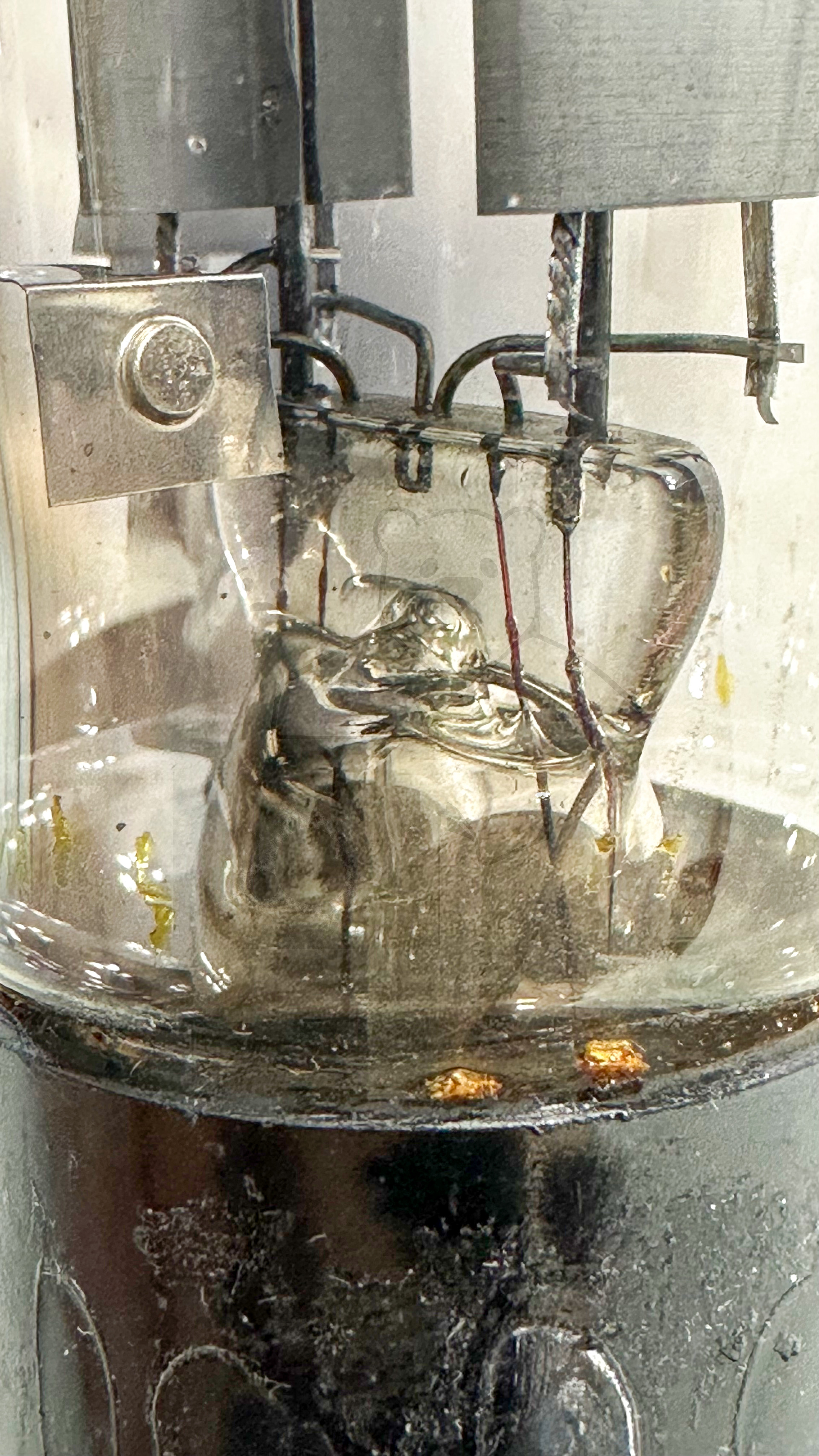 Röhre RGN1064 Spez F #3786 Bild 7