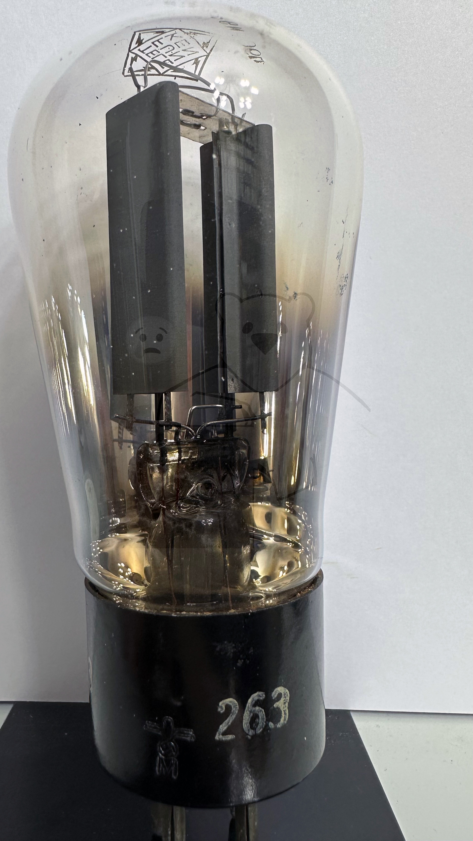 Röhre RGN1064 Spez F #3787 Bild 2