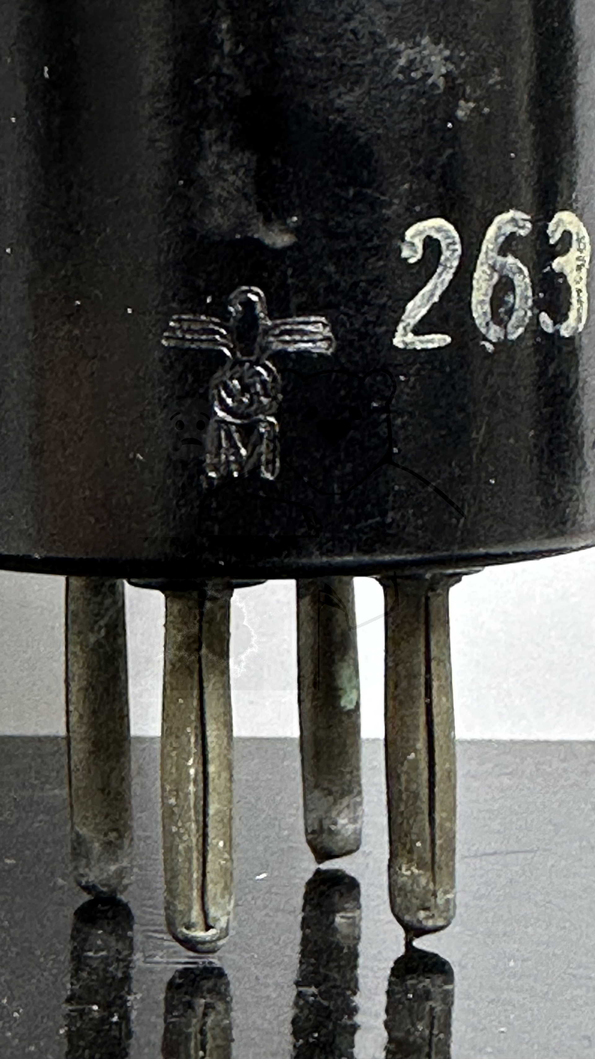 Röhre RGN1064 Spez F #3787 Bild 4