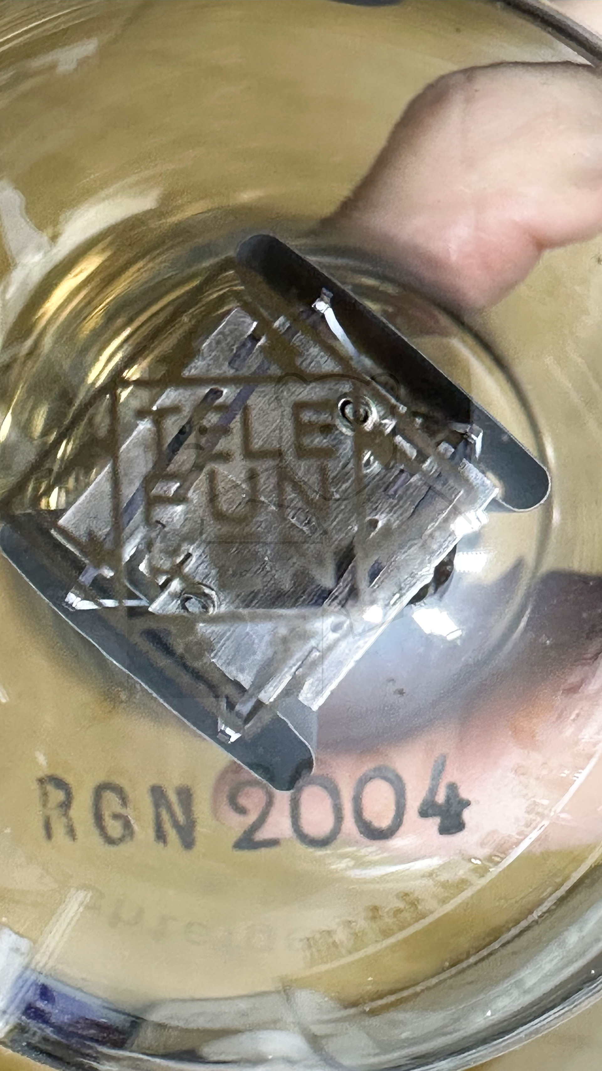 Röhre RGN2004 #4682 Bild 4