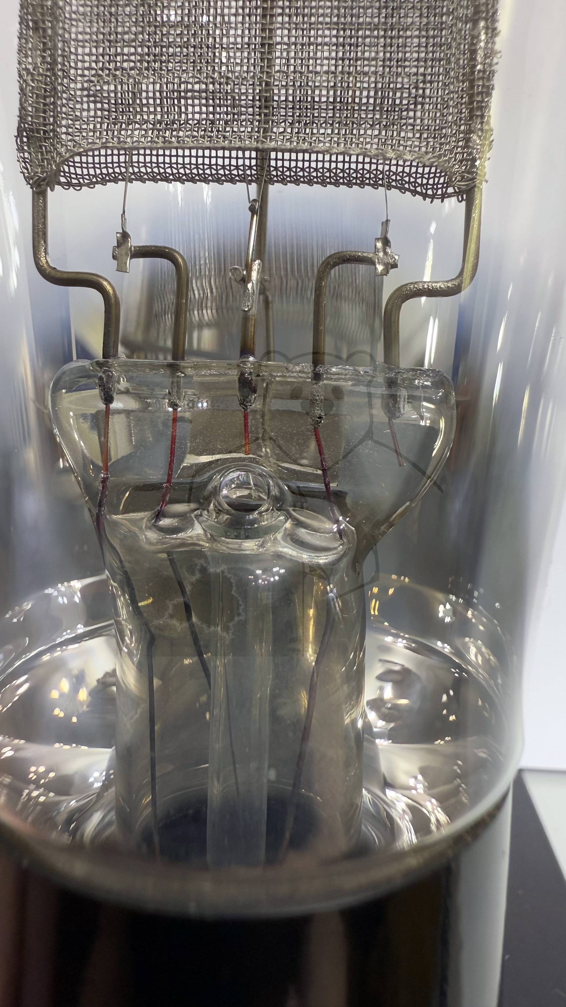 Röhre RGN564 #7243 Bild 3