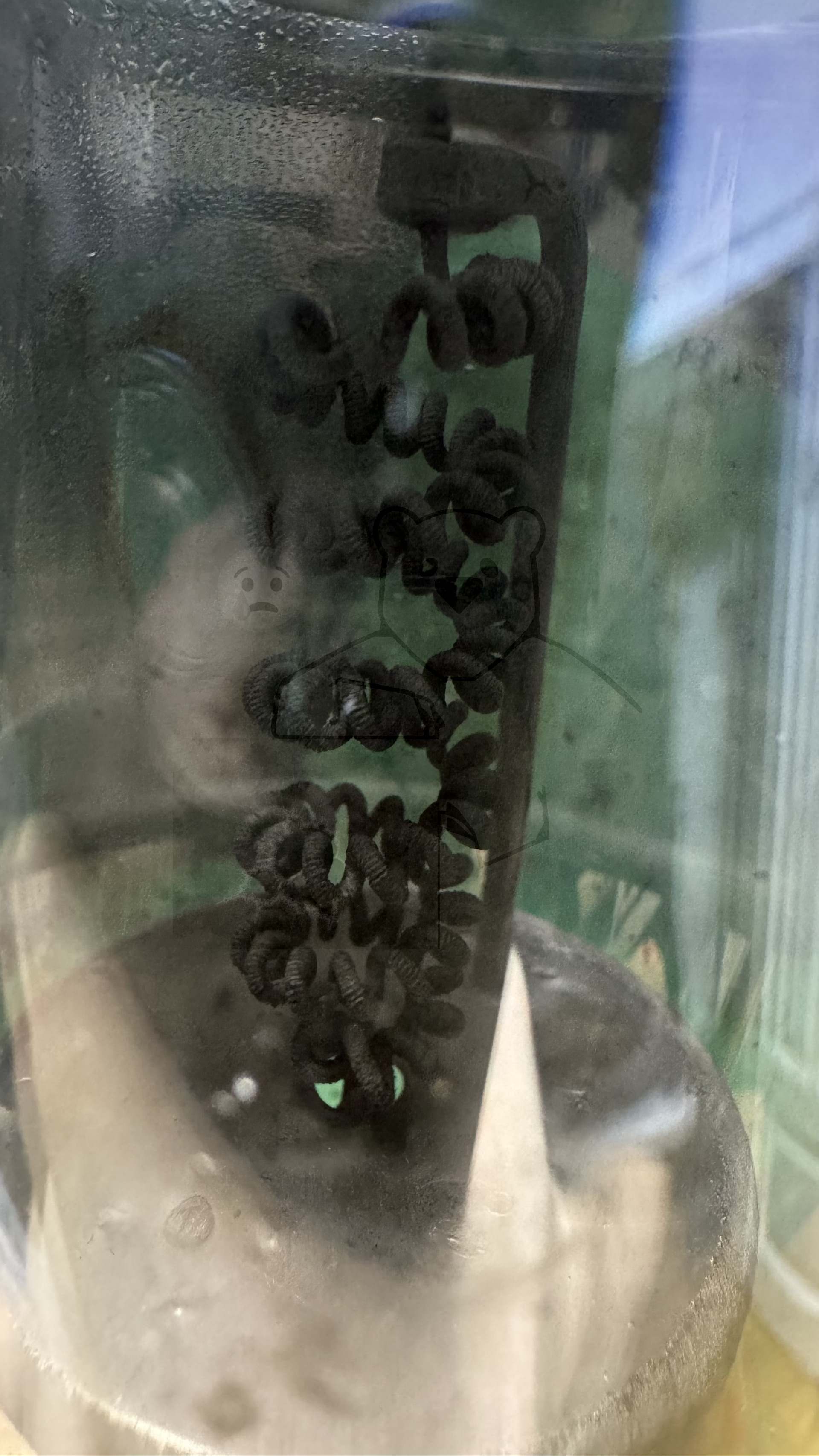 Röhre RGQ7,5-2,5 #6557 Bild 10