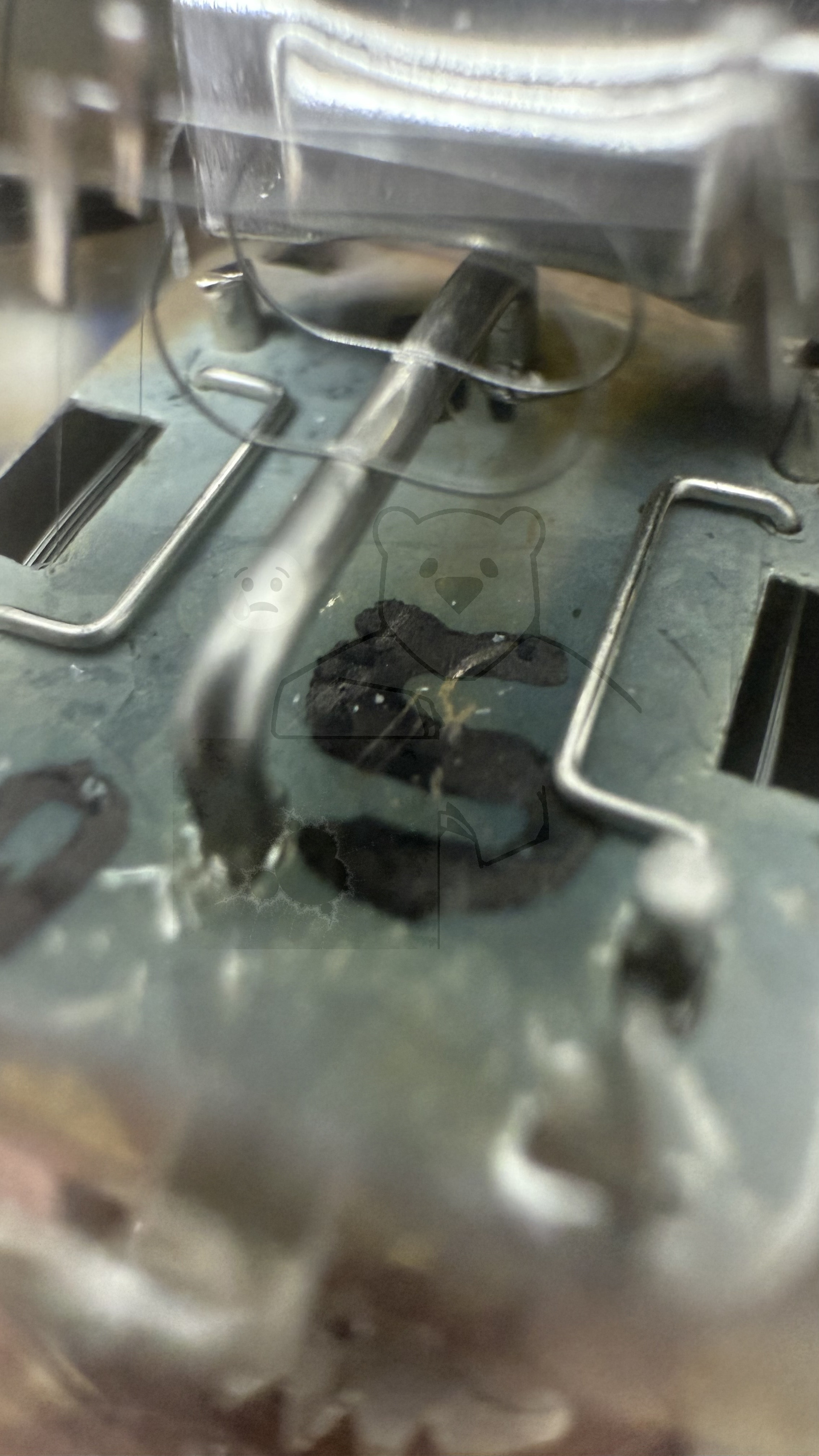 Röhre RL2,4T4 #8186 Bild 9