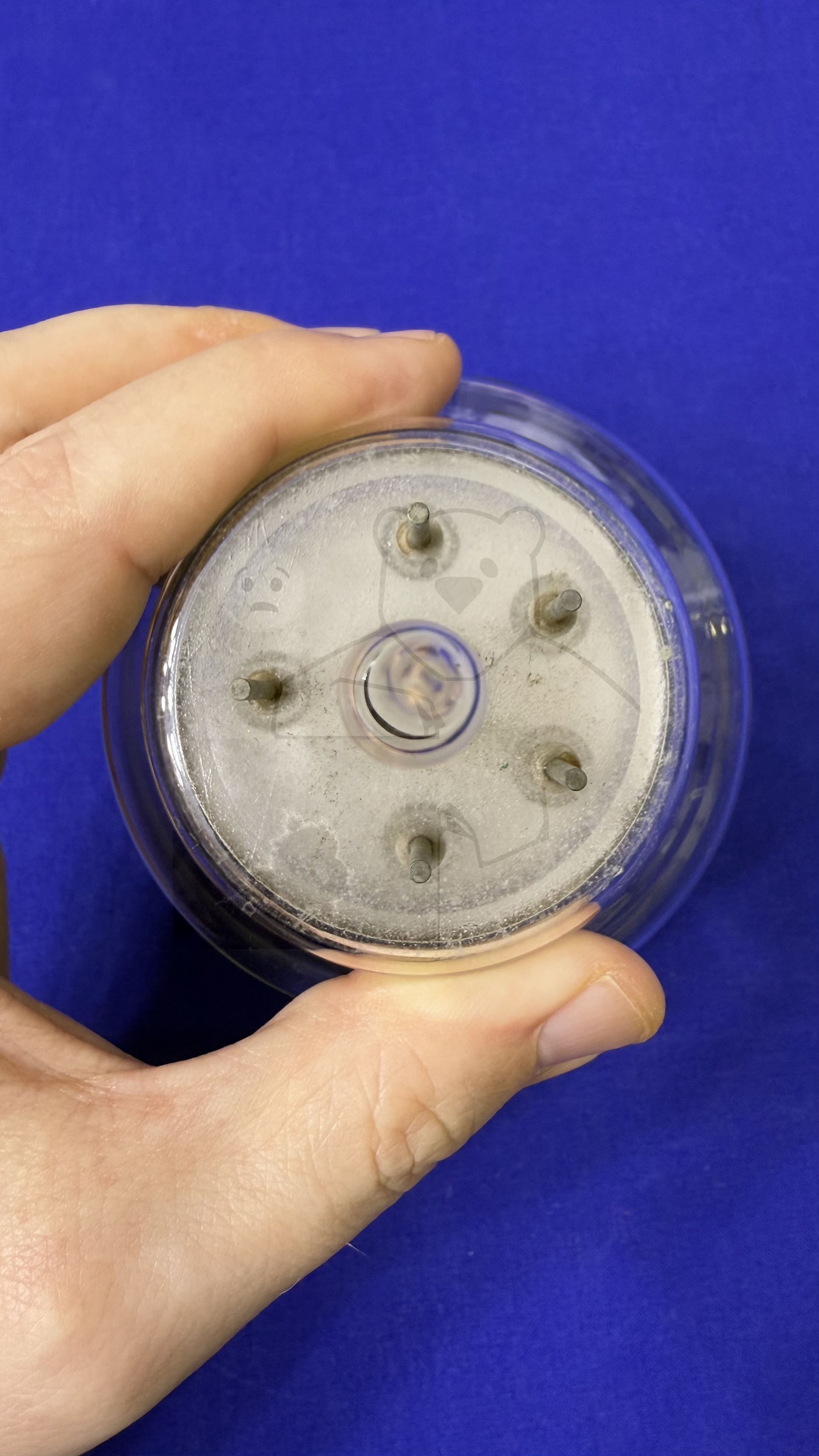 Röhre RS1002 #6876 Bild 10 (Wurde aus dem Produktionsprozess entnommen)