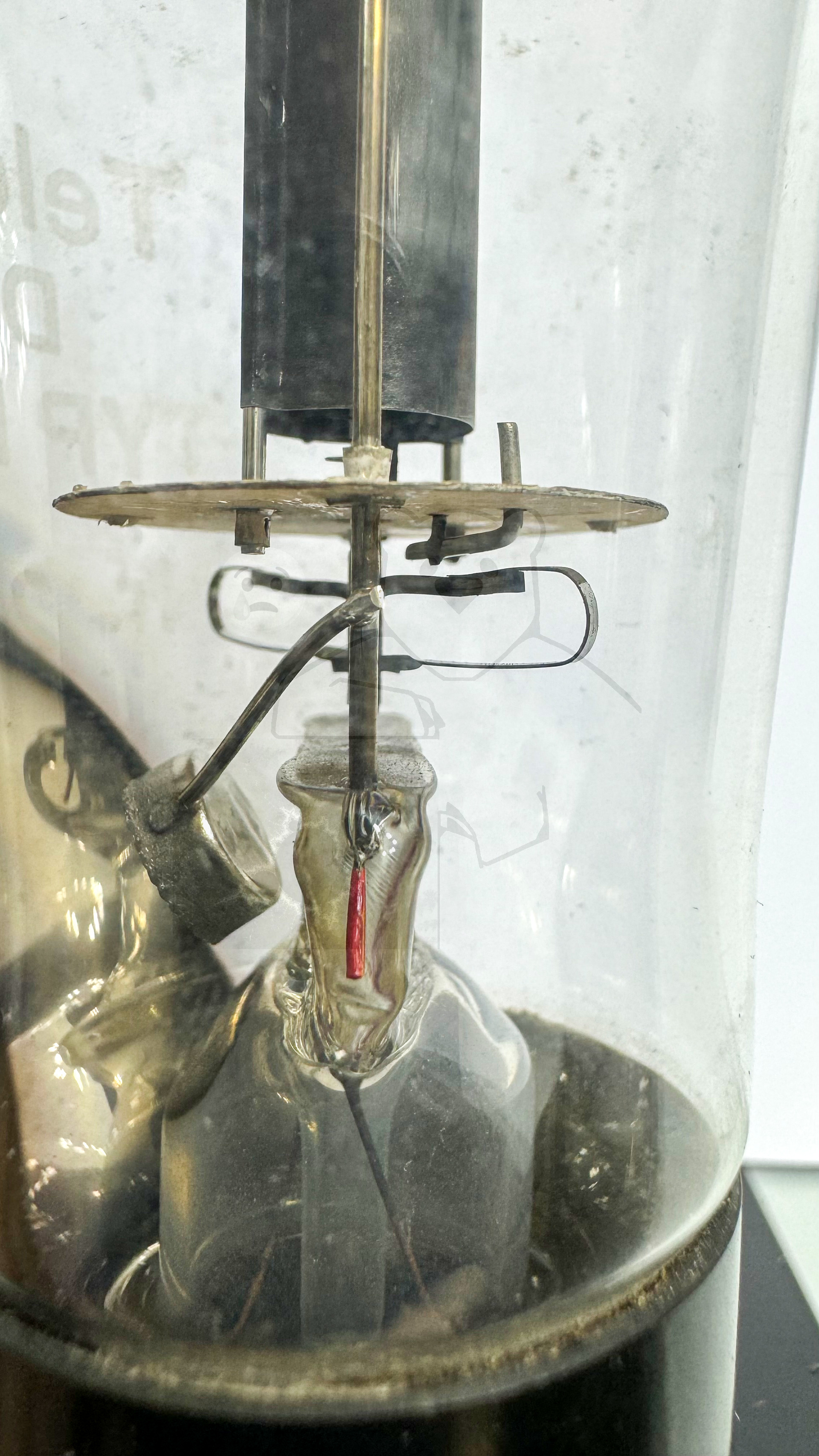 Röhre RS245 III #3775 Bild 4