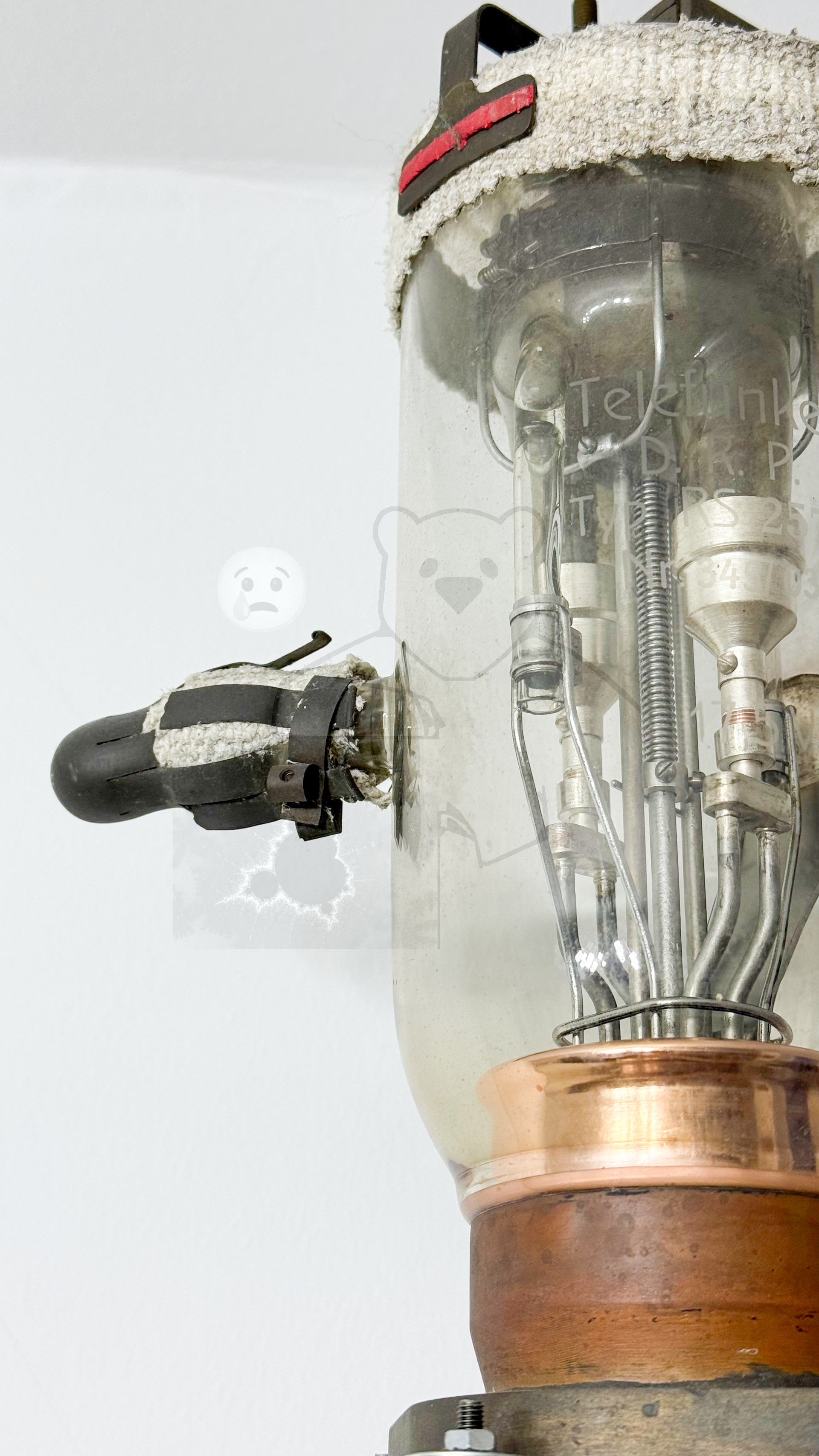 Röhre RS257 #6866 Bild 4