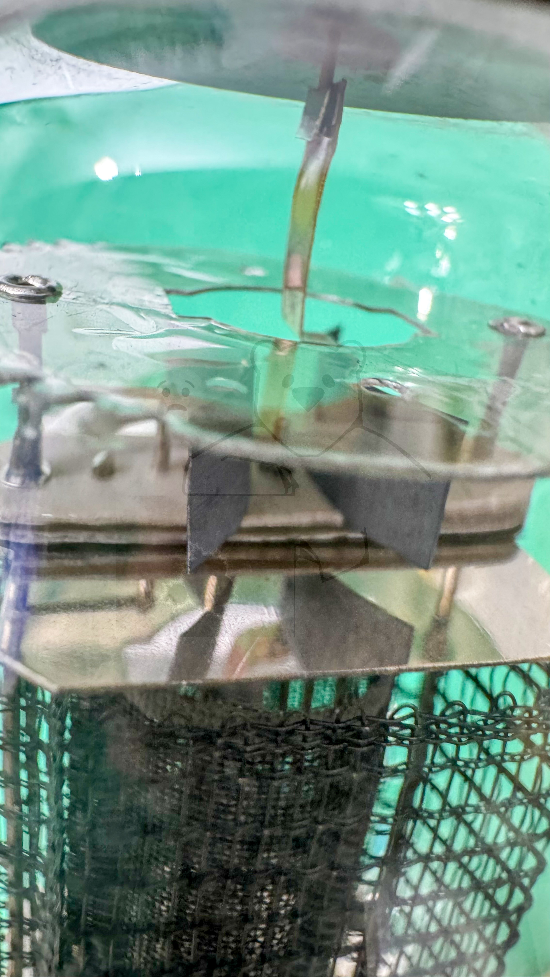 Röhre RS288 #3774 Bild 12