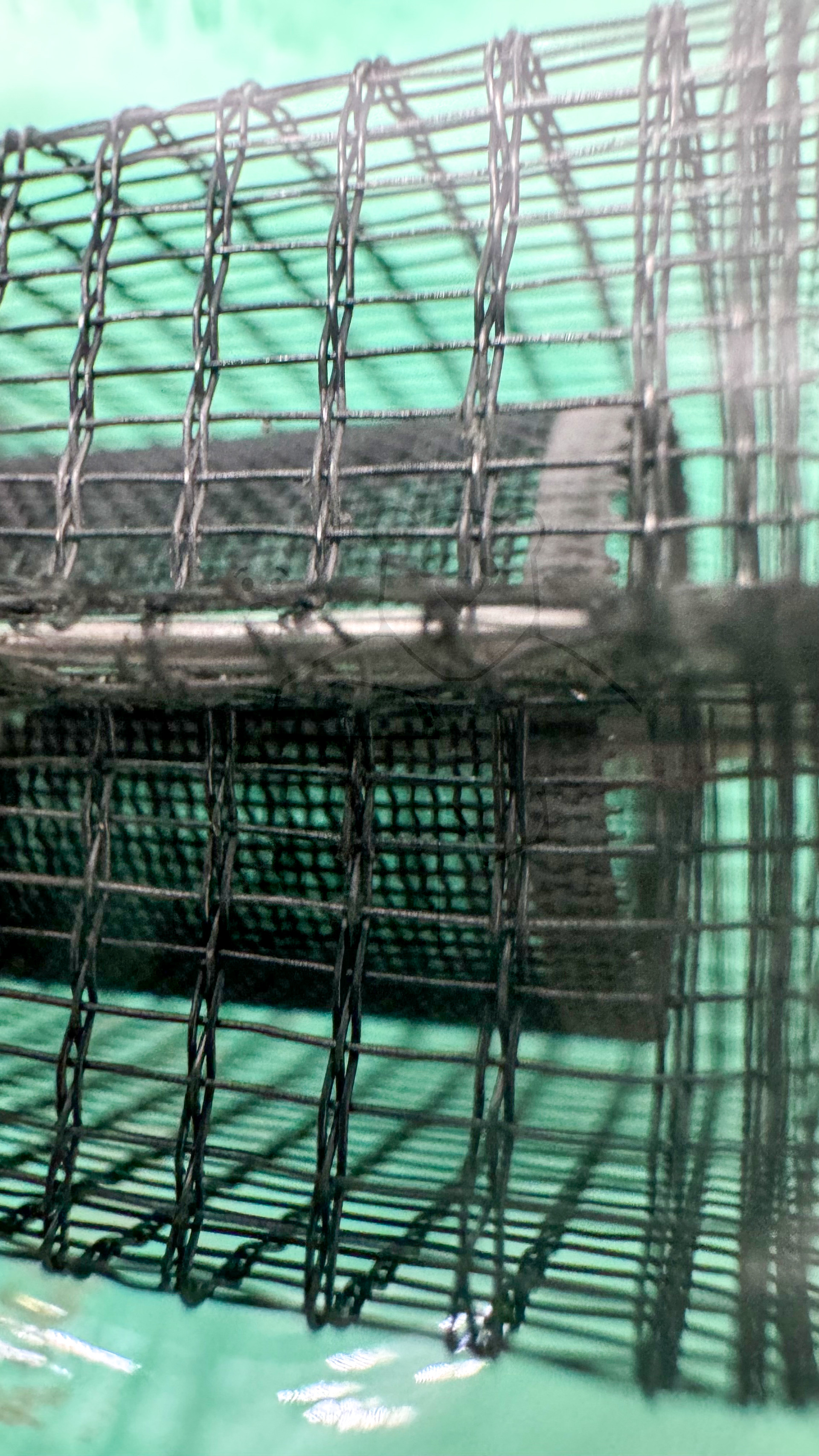 Röhre RS288 #3774 Bild 16