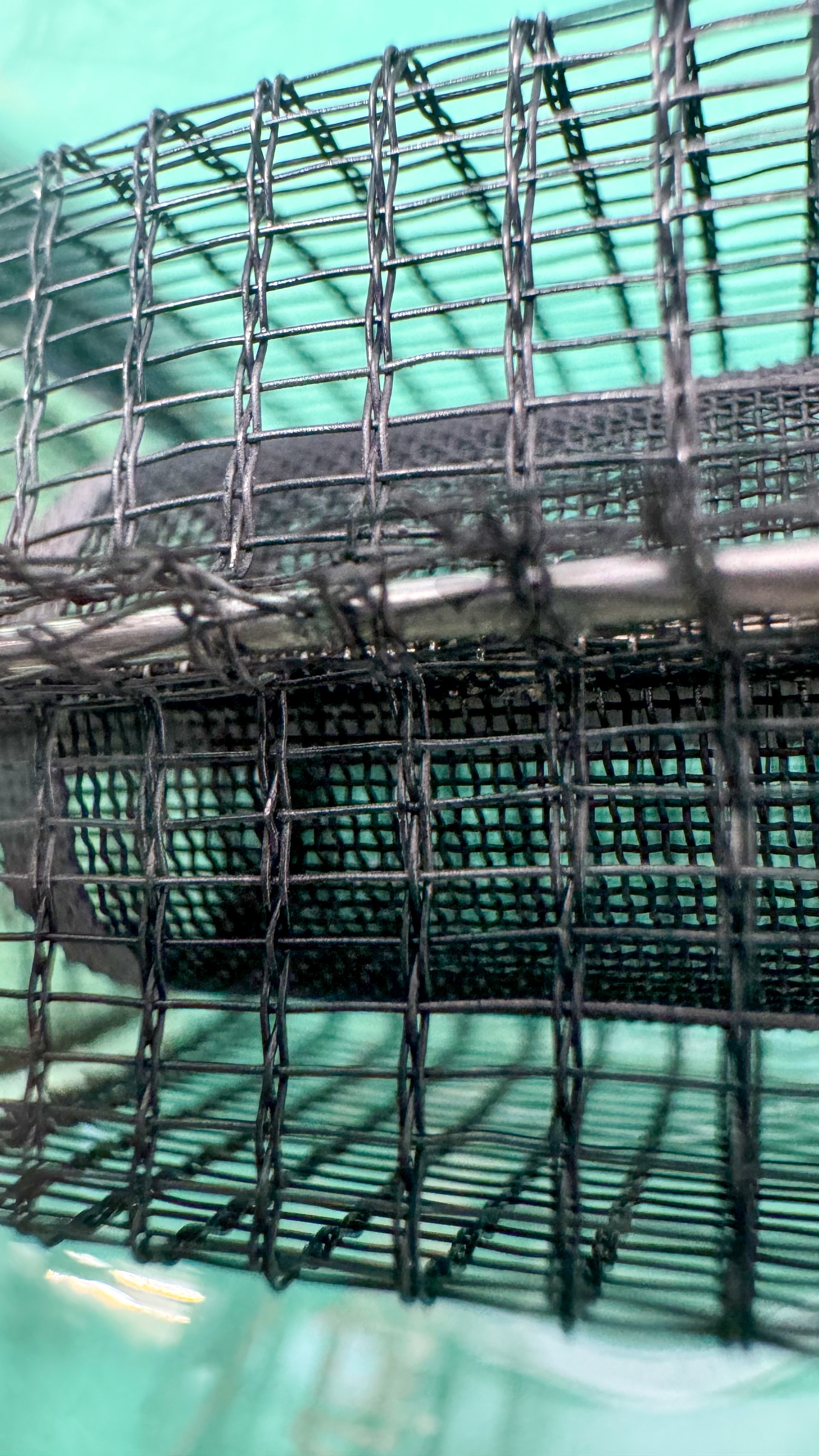 Röhre RS288 #3774 Bild 17