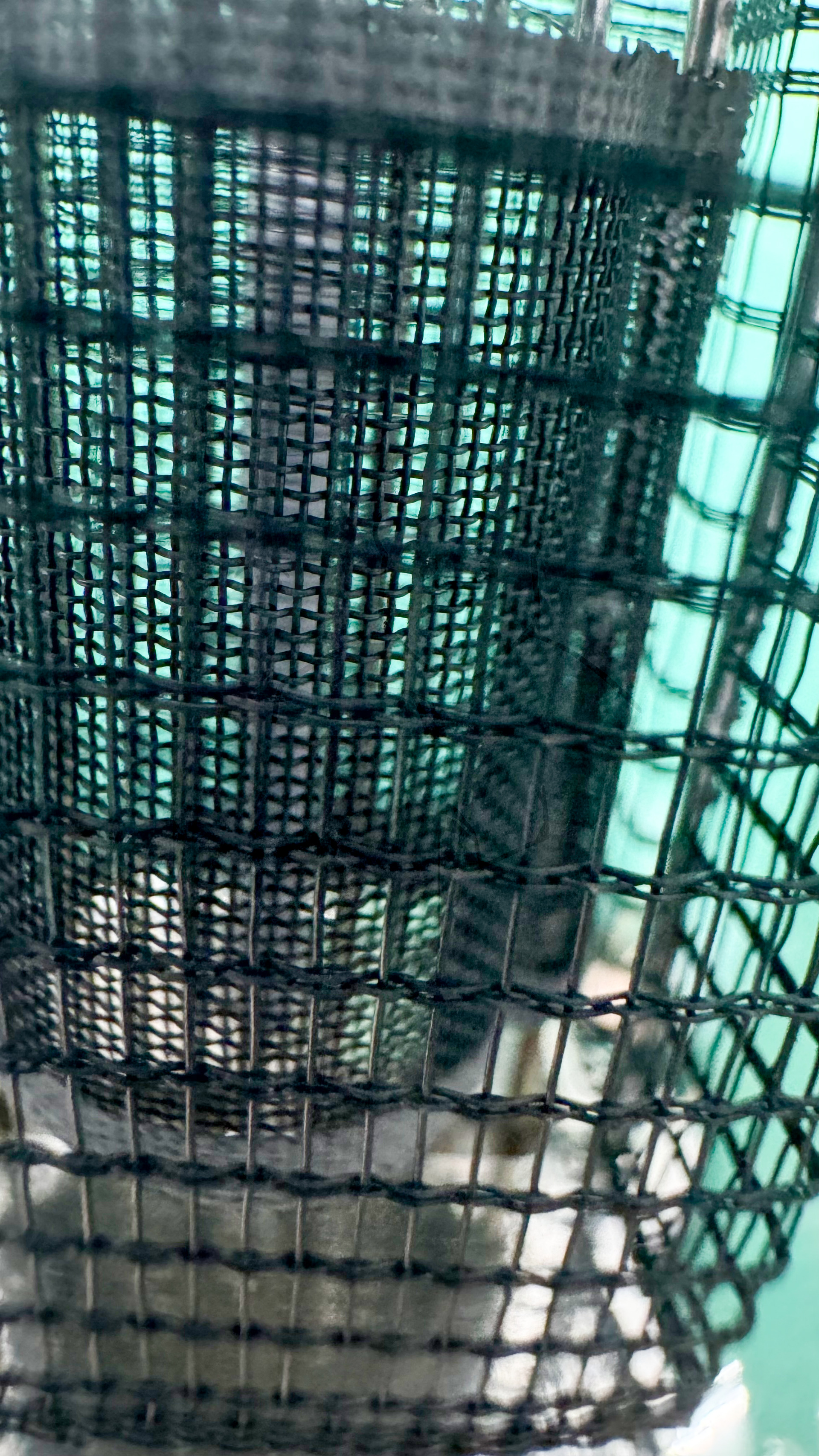 Röhre RS288 #3774 Bild 5