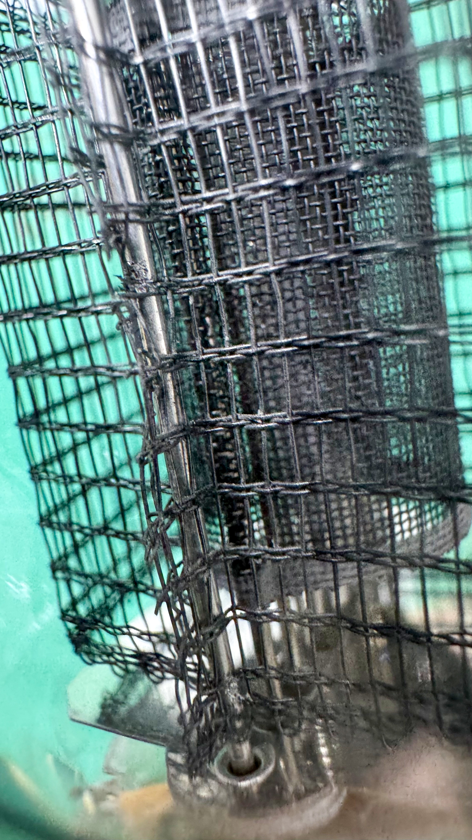 Röhre RS288 #3774 Bild 6