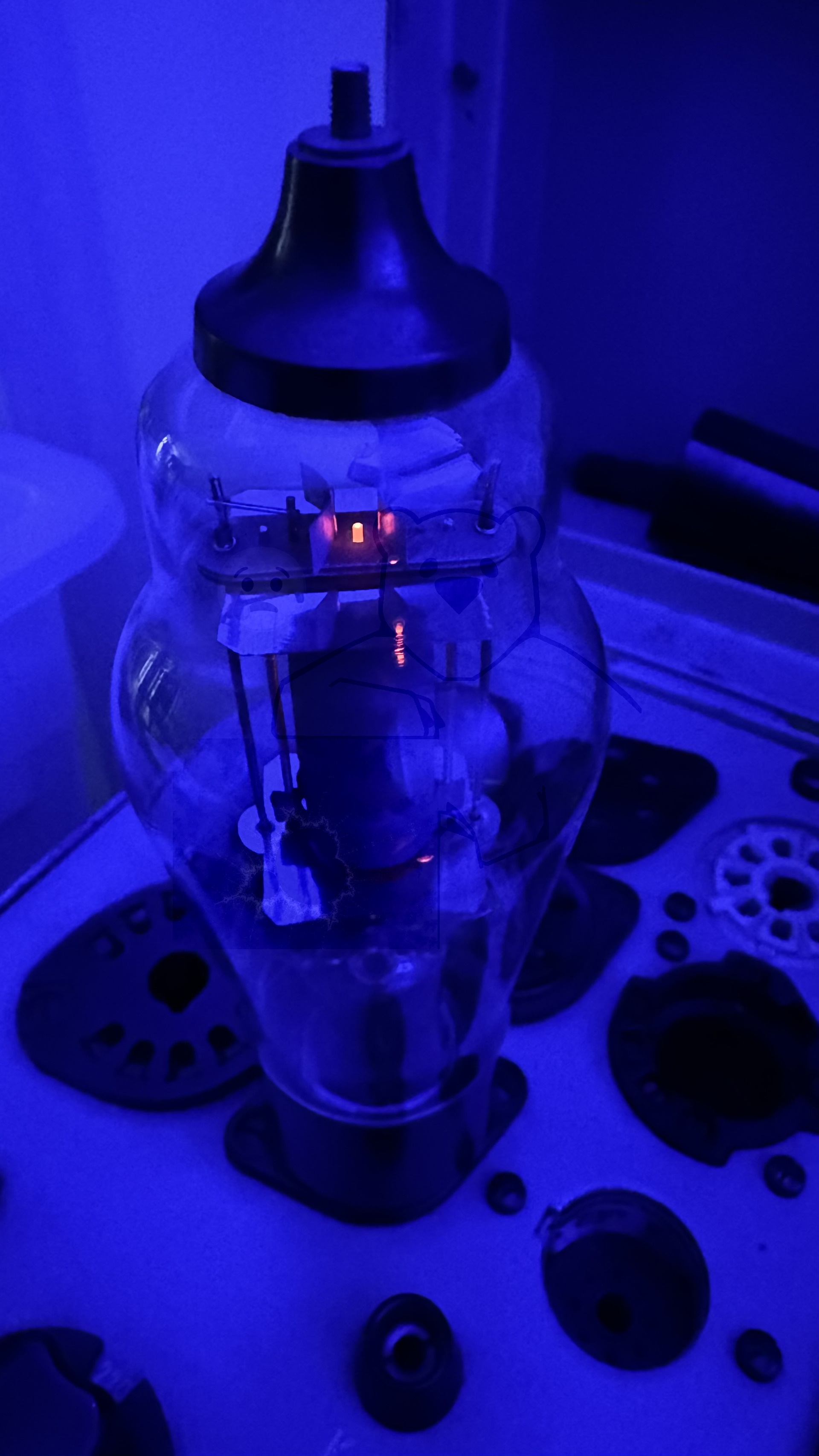 Röhre RS288 #6495 In Betrieb Bild 2