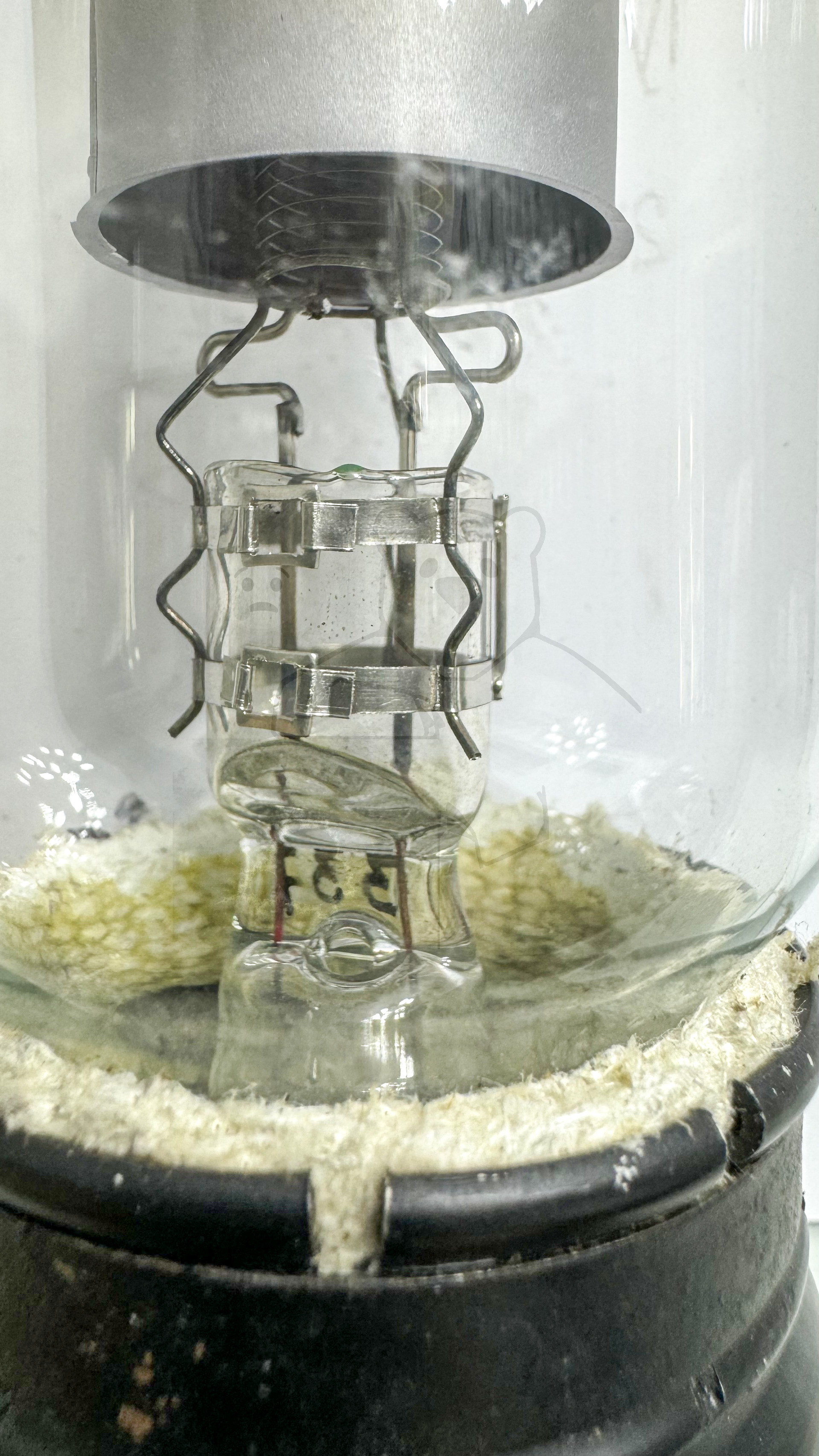 Röhre RS31 g #3647 Bild 4