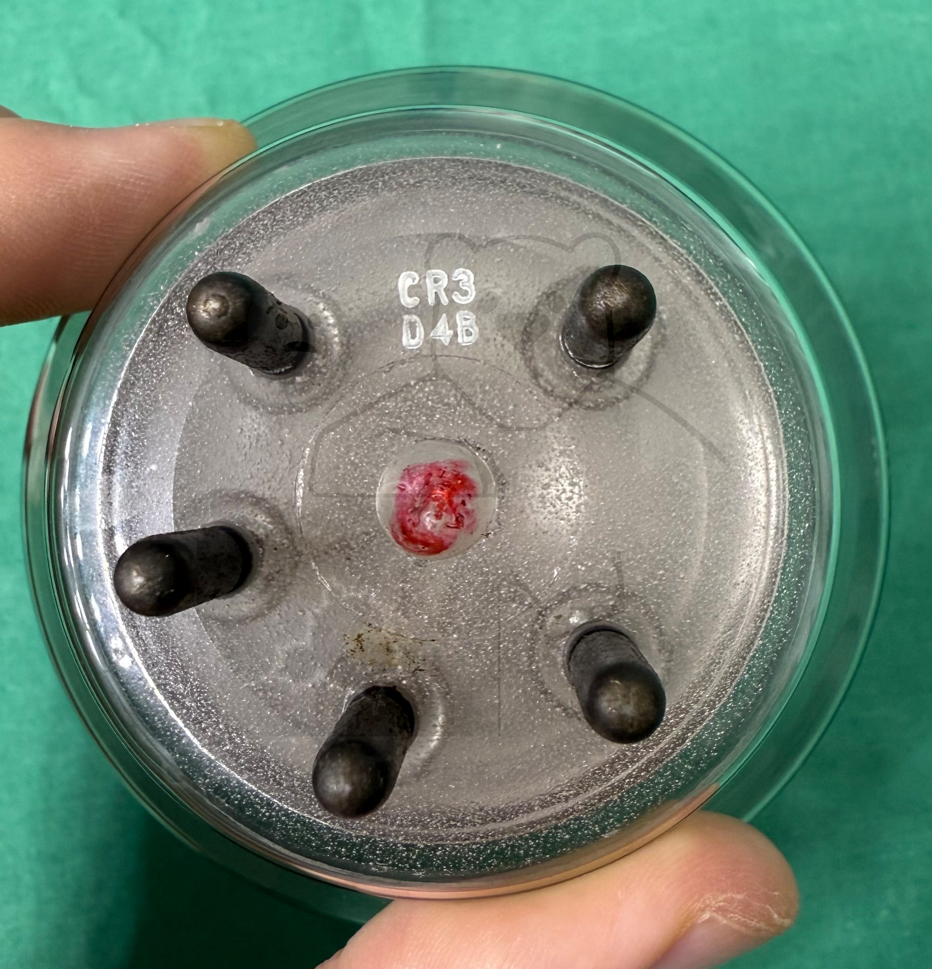 Röhre RS630 #3974 Bild 12