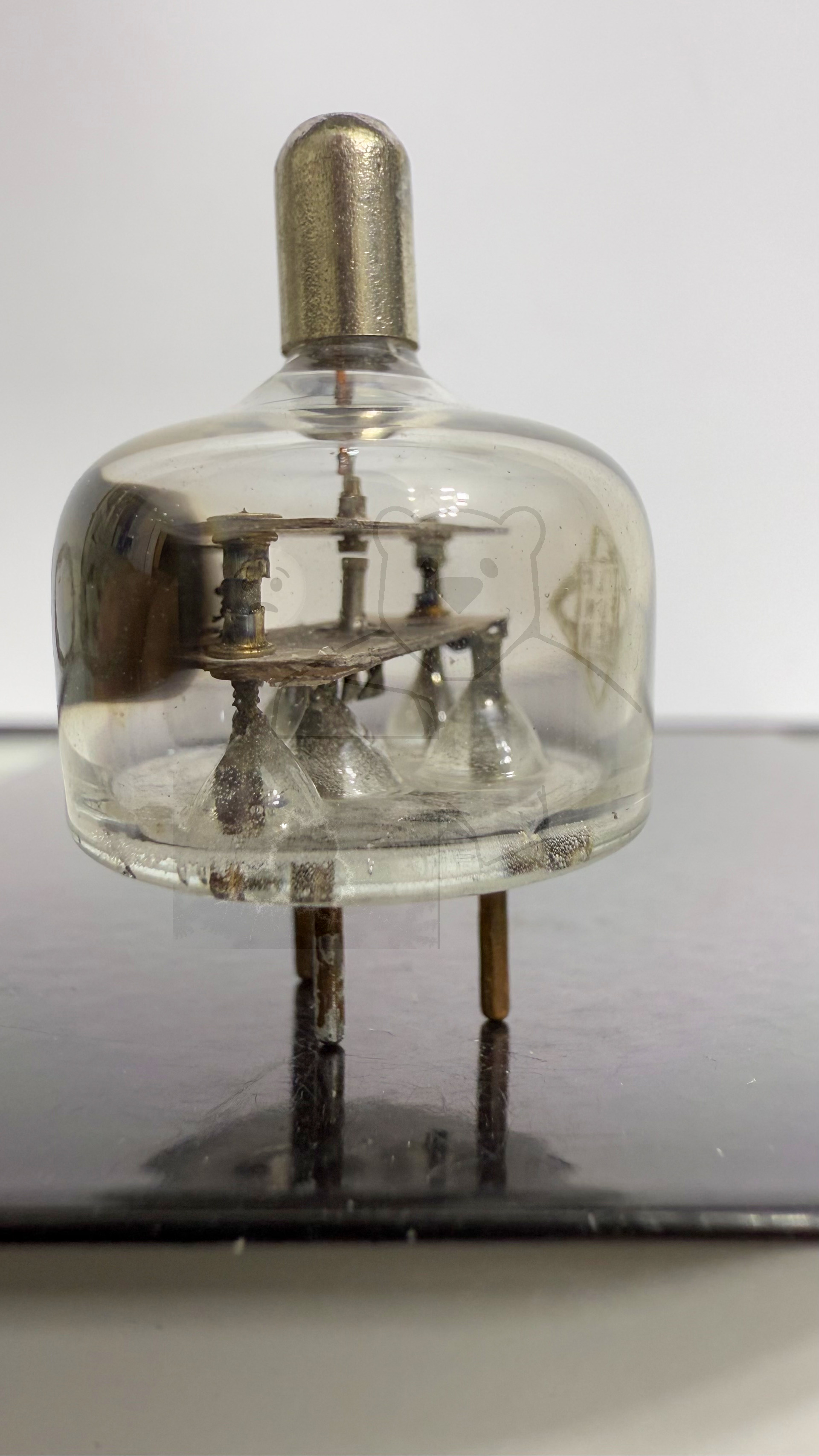 Röhre SA100 #7791 Bild 3