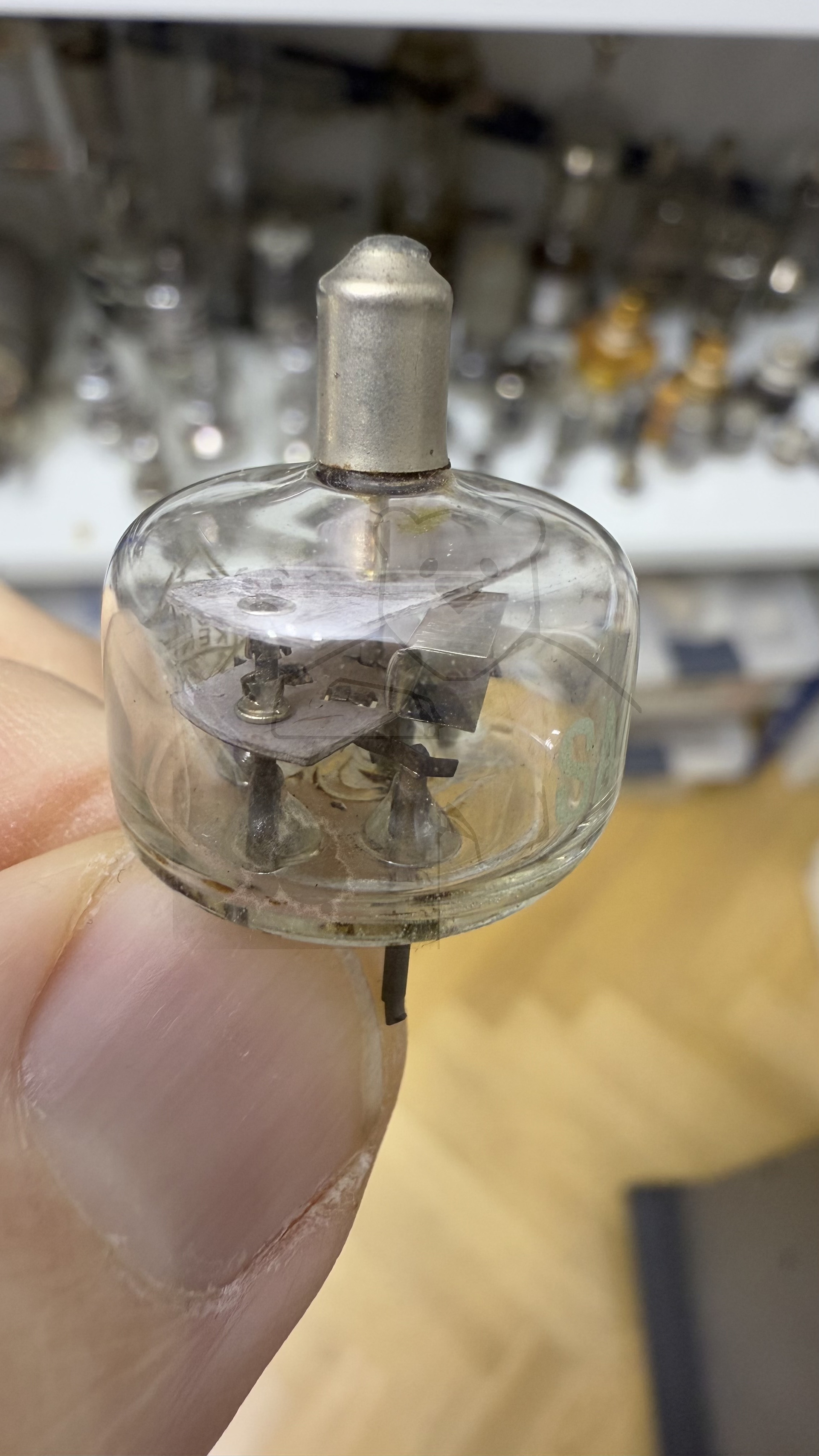 Röhre SA102 #7793 Bild 8