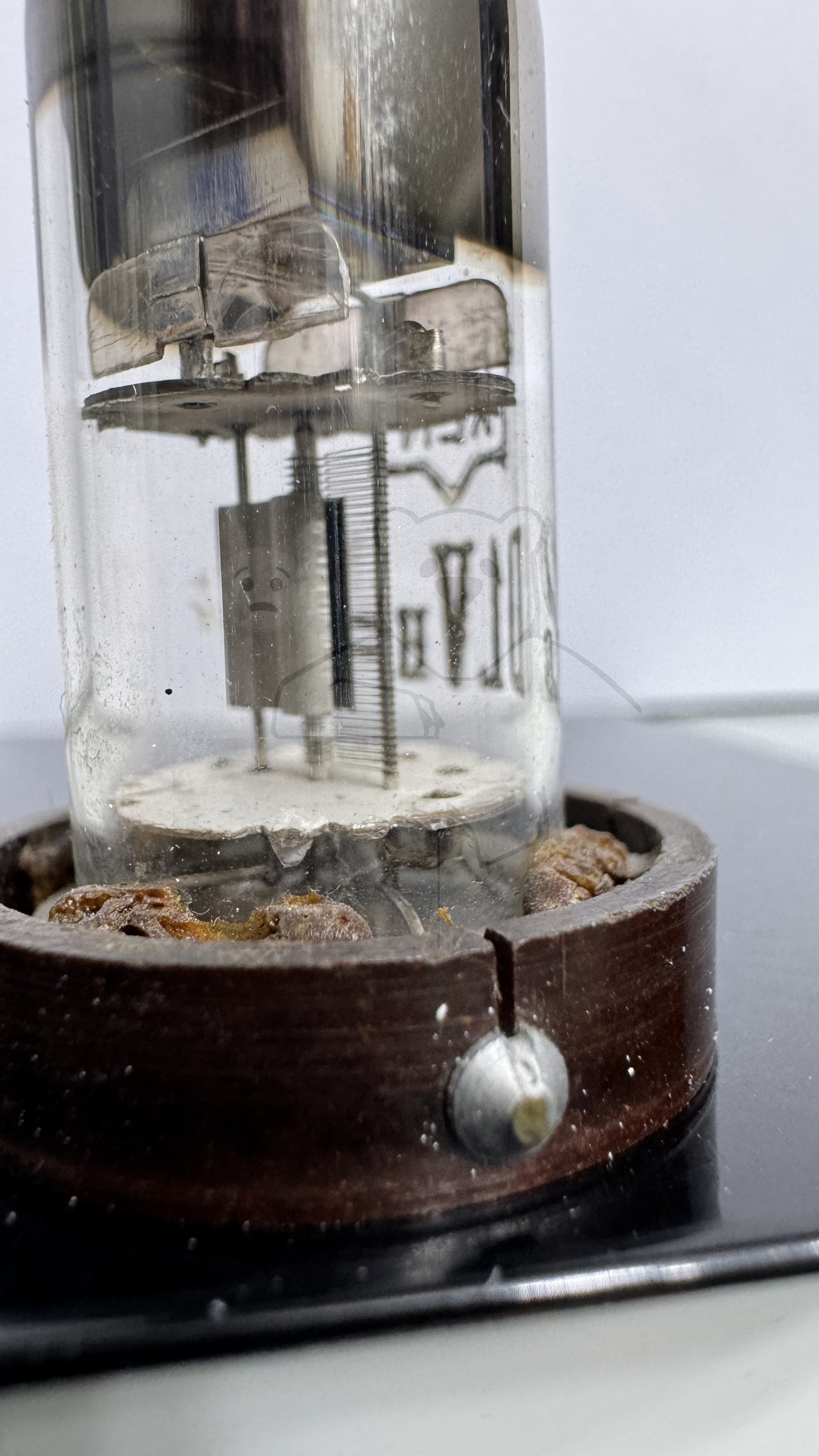 Röhre SD1 #8174 Bild 5