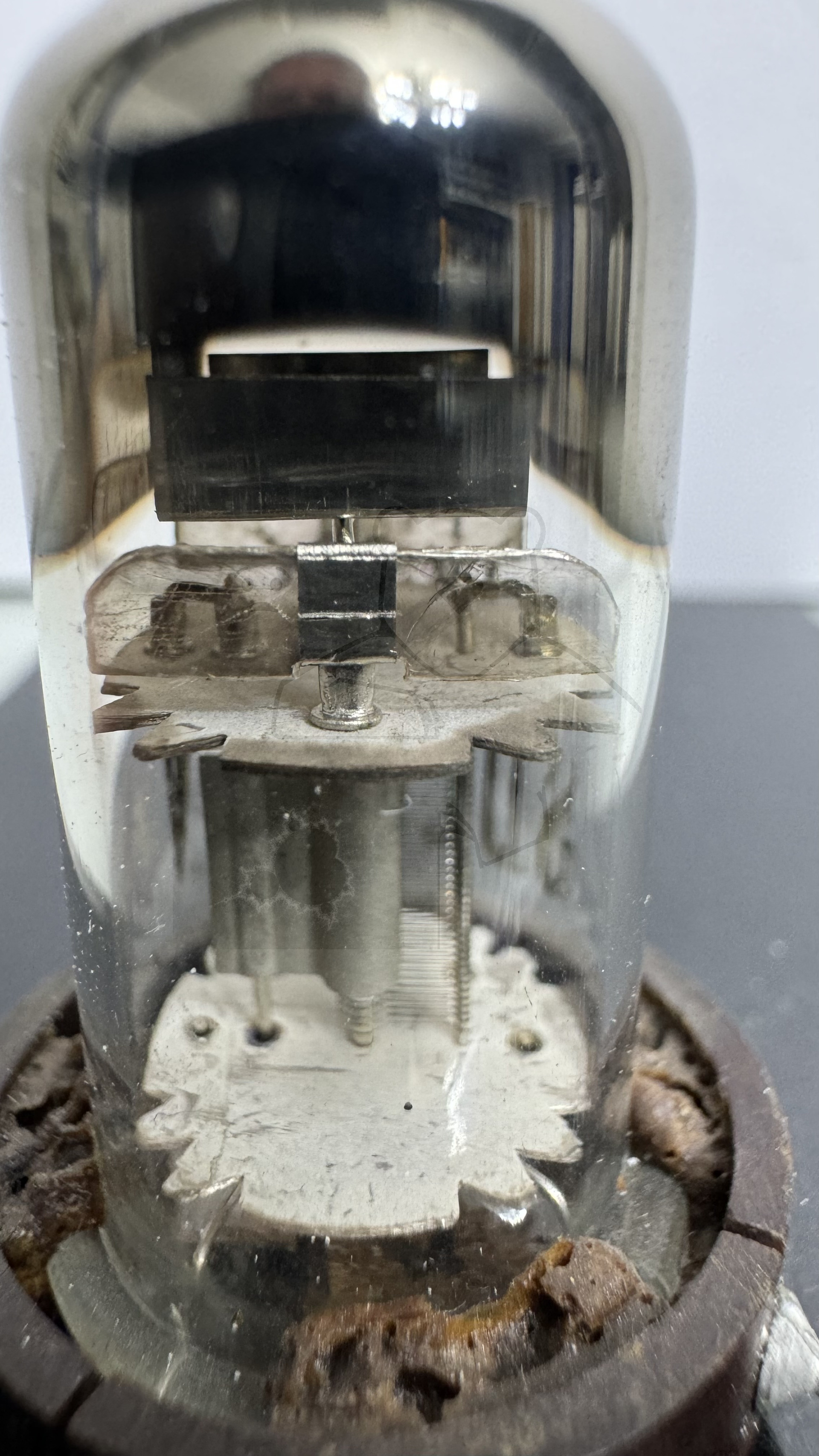 Röhre SD1 #8174 Bild 8