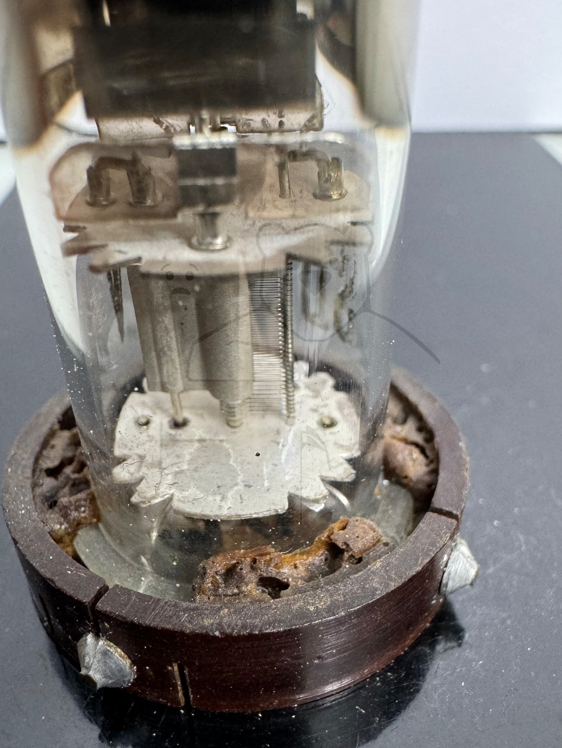 Röhre SD1 #8174 Bild 9