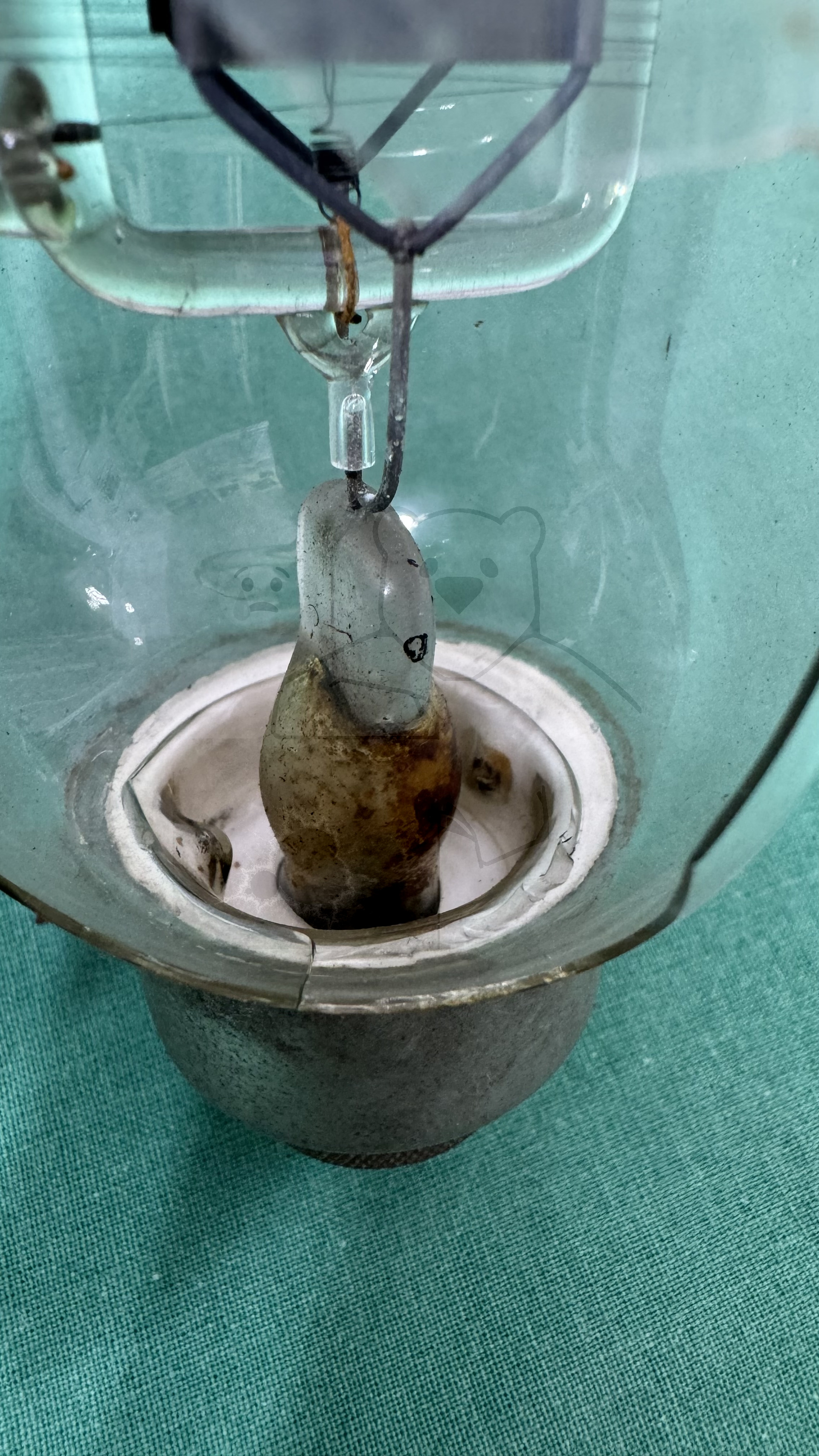 Röhre ST12 #6404 Bild 17