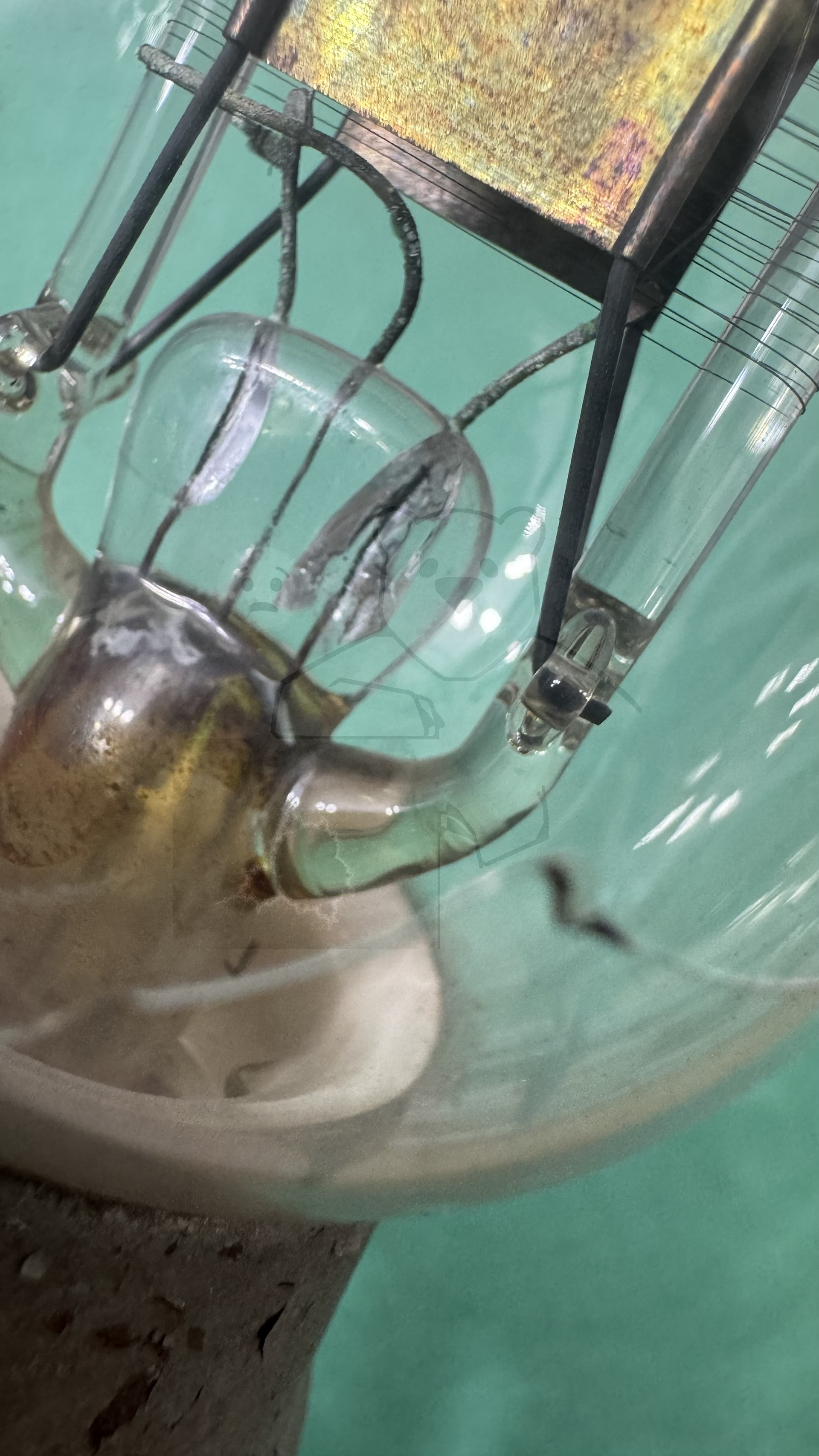 Röhre ST12 #6404 Bild 8