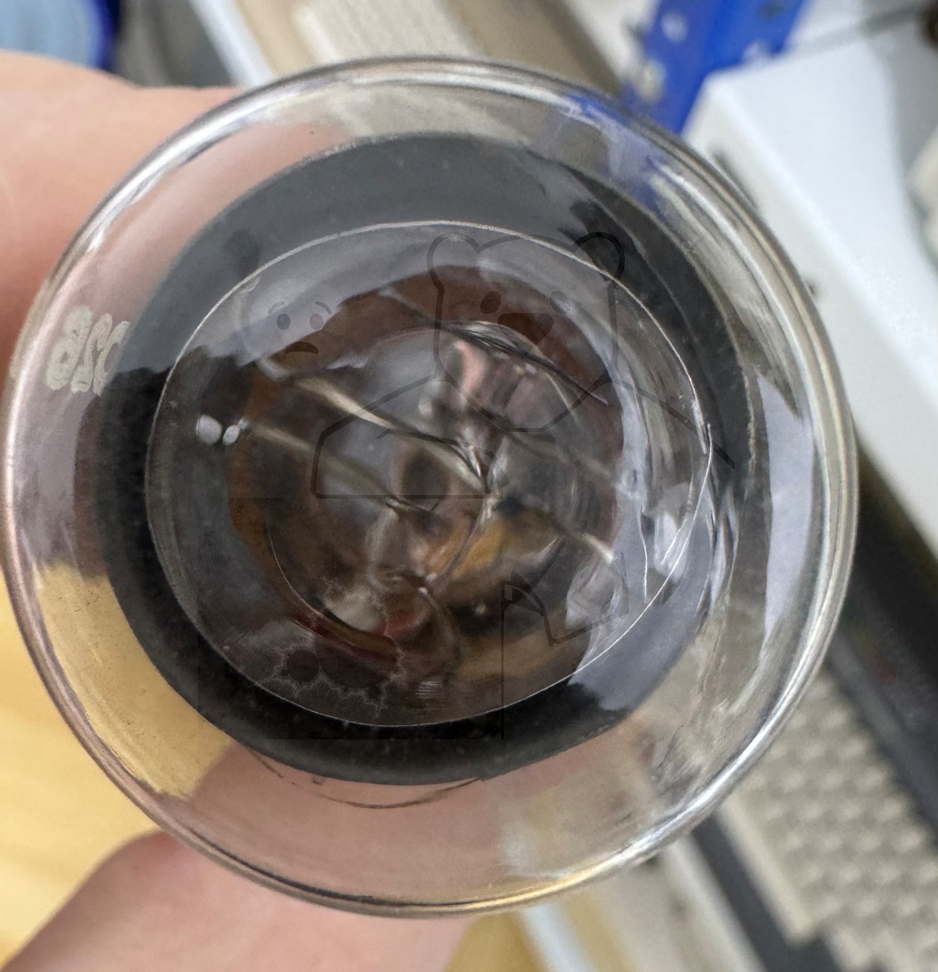 Röhre STV100-60 Z II #0256 Bild 4