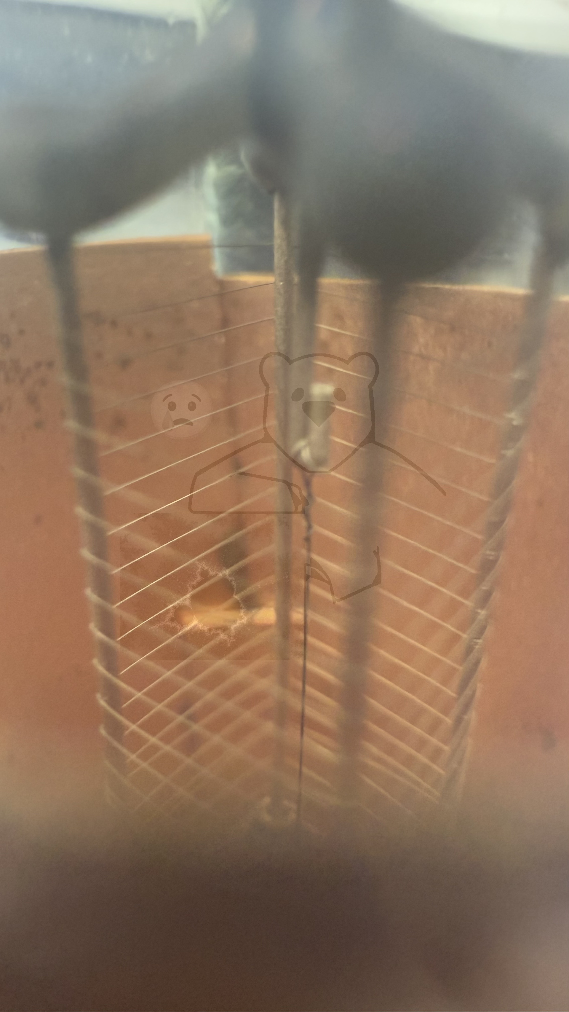 Röhre Schott Typ N #6366 Bild 10