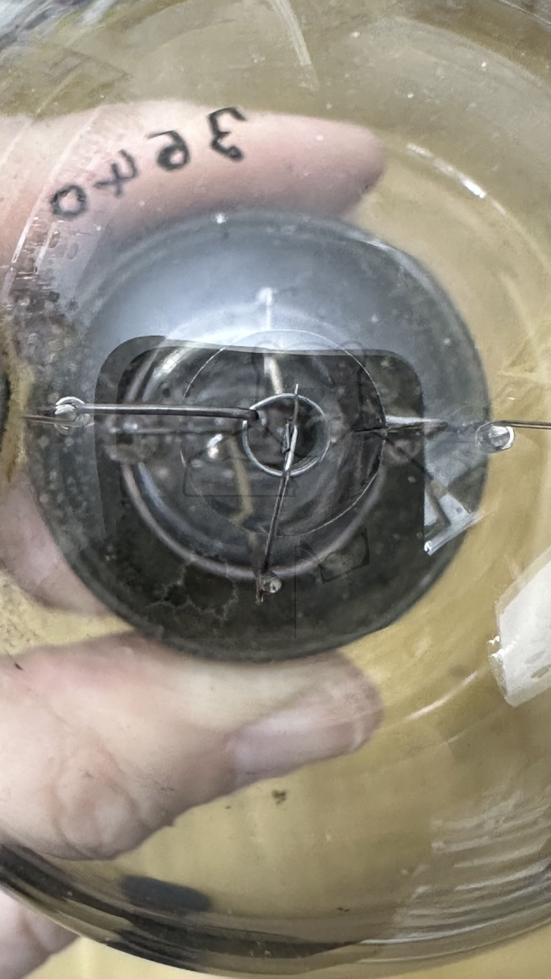 Röhre TM30 #3640 Bild 4