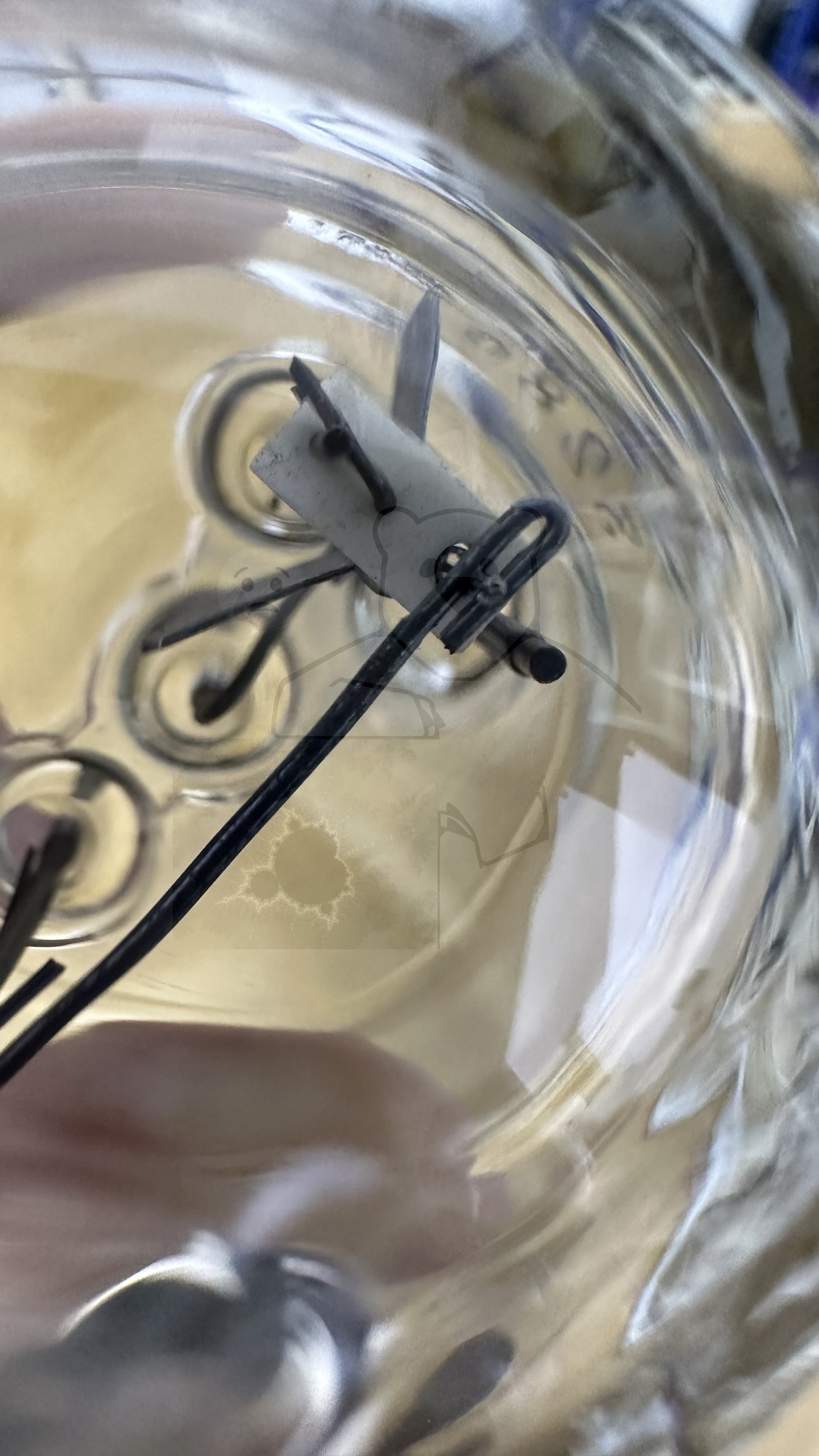 Röhre TS1a #7781 Bild 11