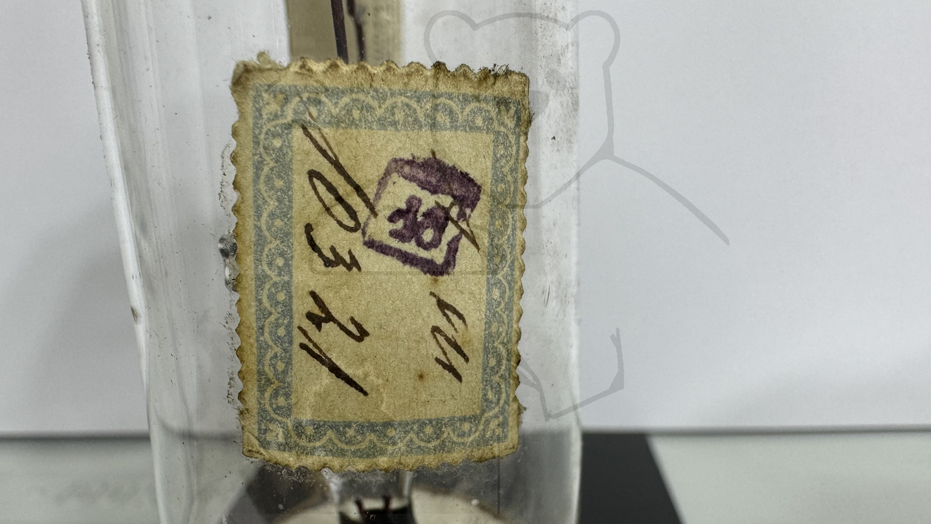 Röhre Typ A (Siemens) #7759 Bild 10