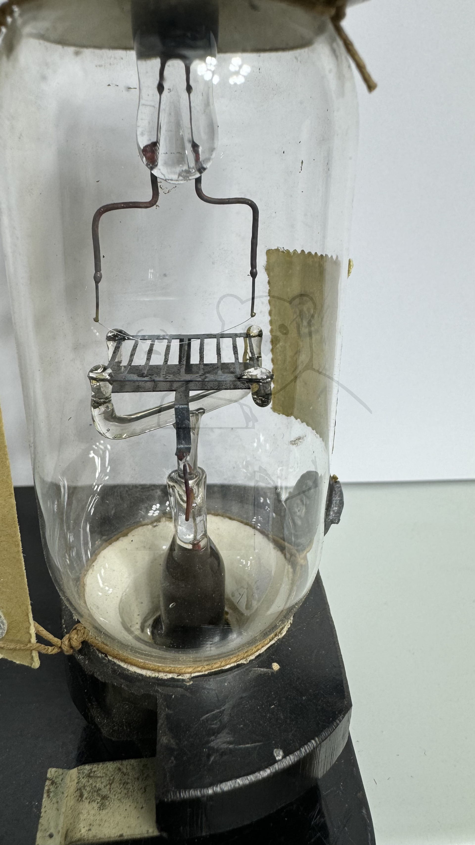 Röhre Typ A (Siemens) #7759 Bild 2