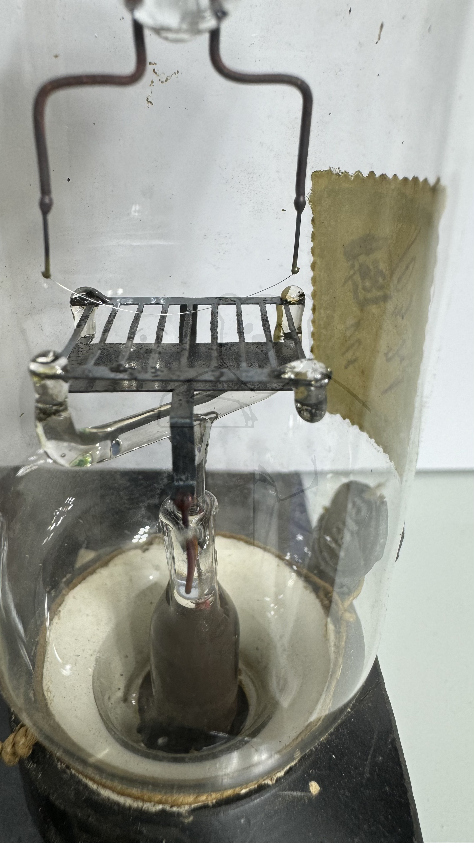 Röhre Typ A (Siemens) #7759 Bild 3