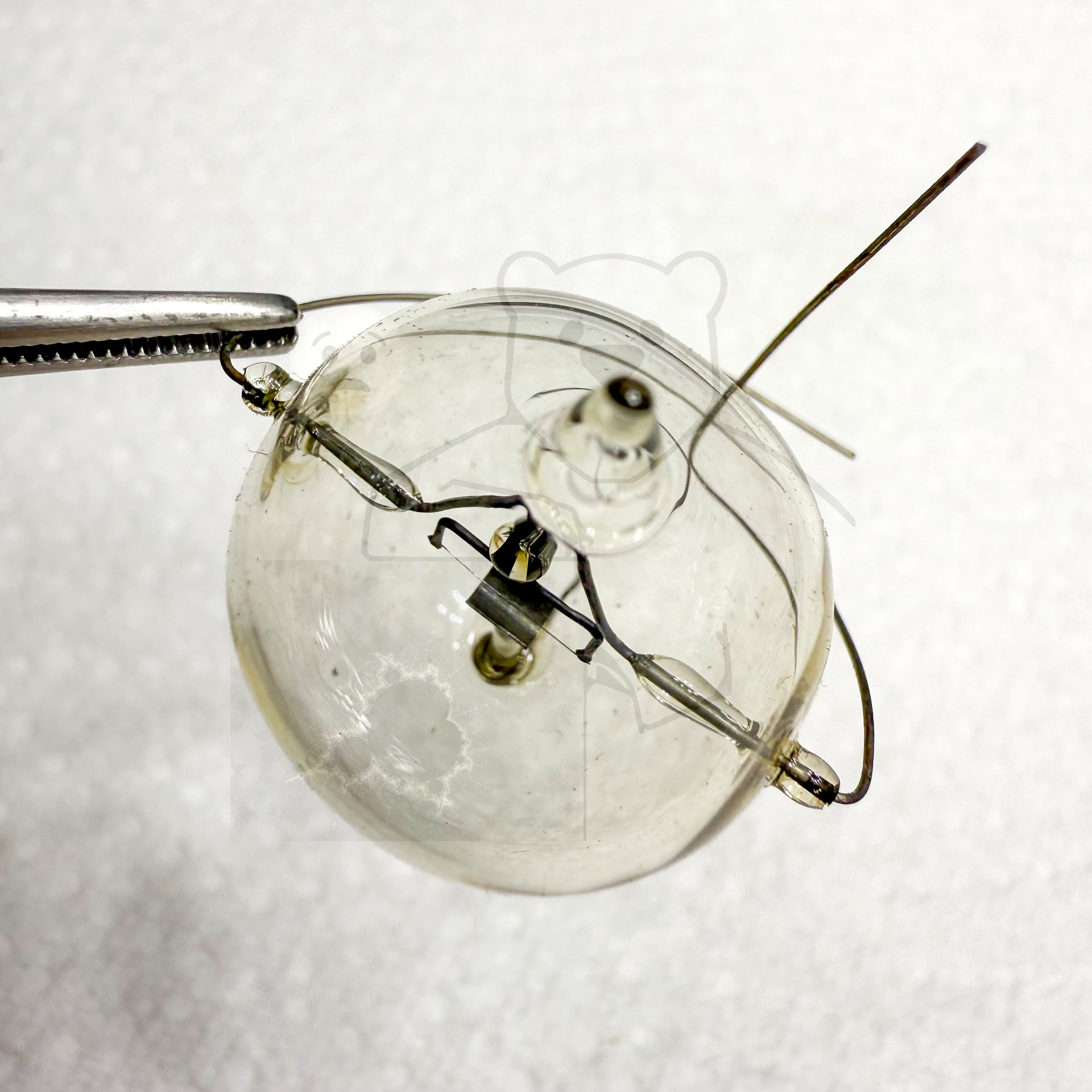 Röhre U 2085 (Gundelach) #8223 Bild 3