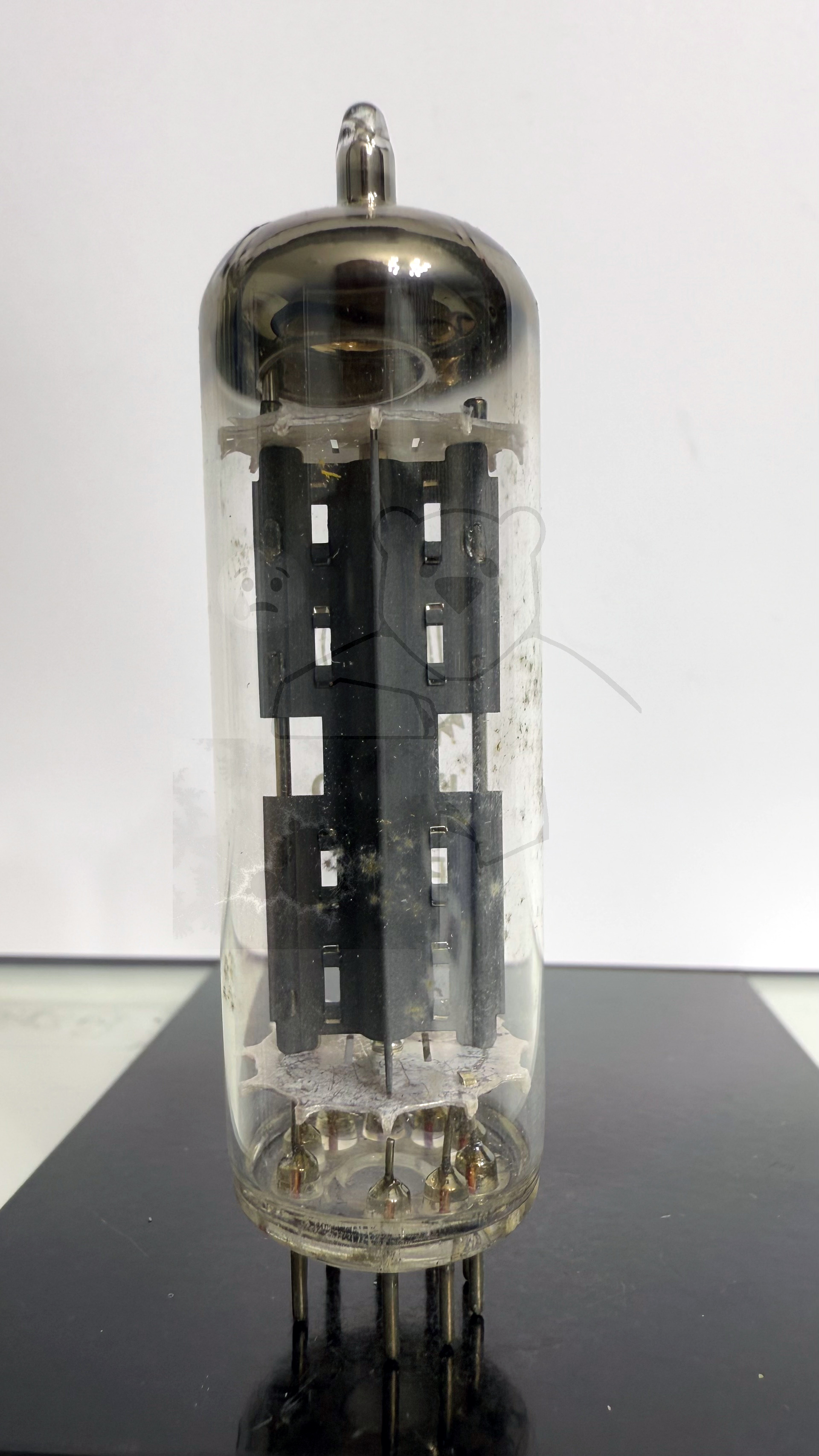 Röhre UY82 #7496 Bild 3