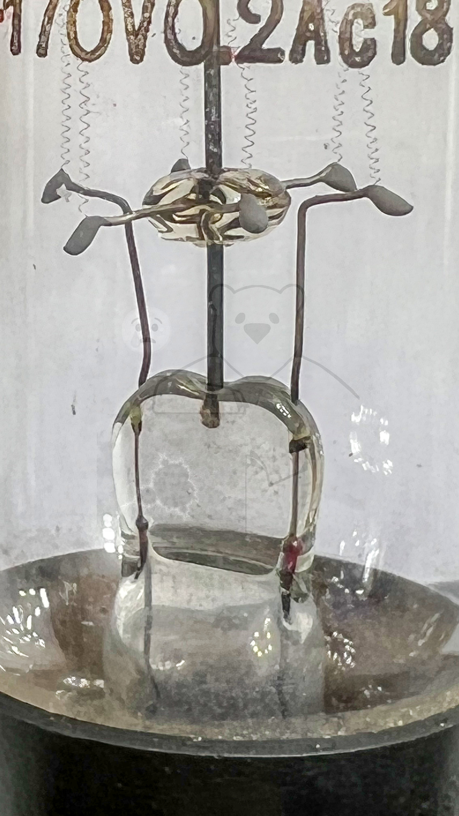 Röhre Urdox und Eisen-Wasserstoff Widerstand EU XII #4817 Bild 5