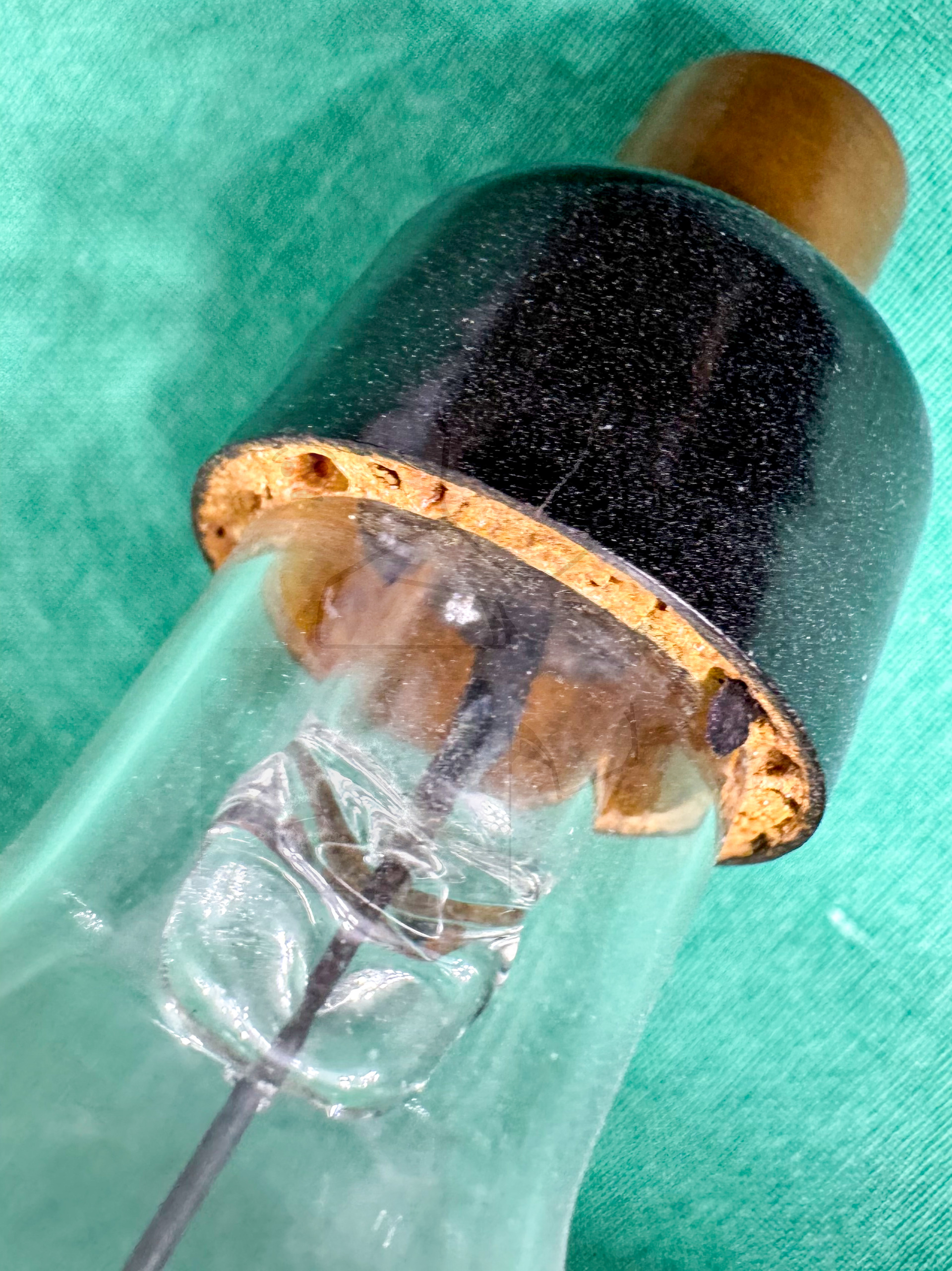 Röhre V30-01h #0135 Bild 10