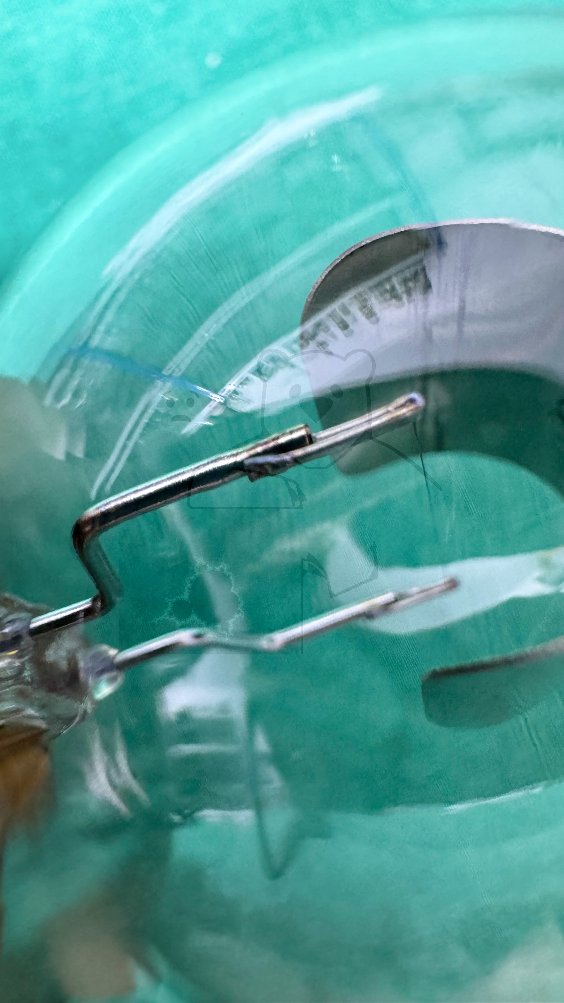 Röhre V30-01h #0135 Bild 7