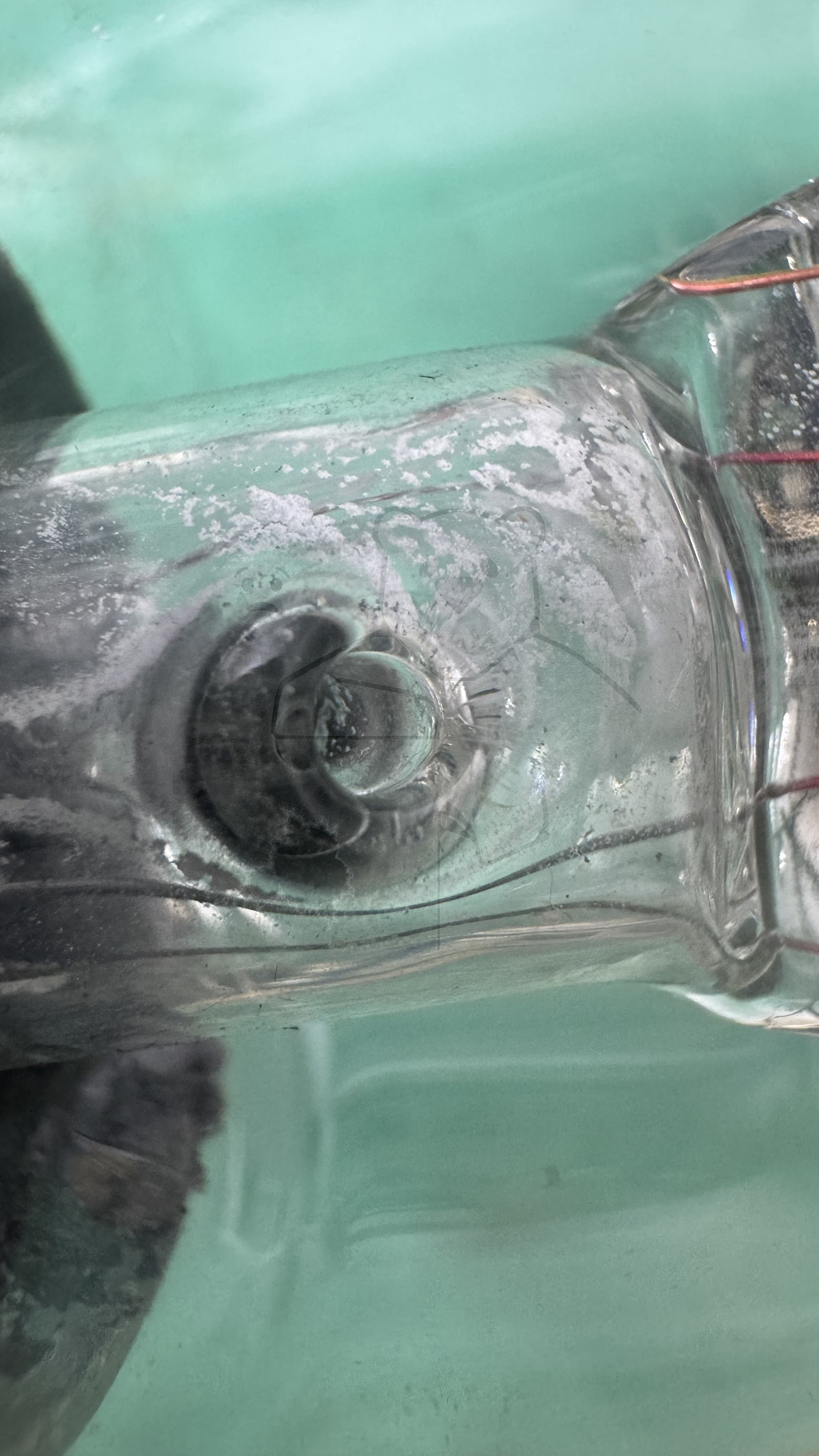 Röhre V430 #6005 Bild 9