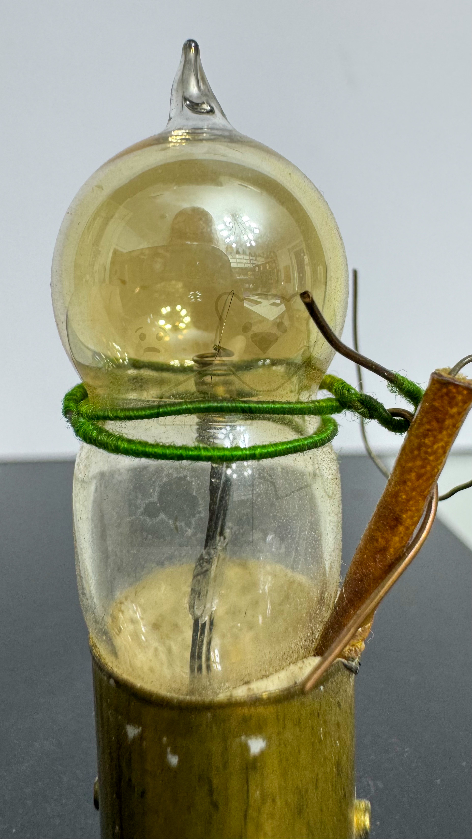 Röhre Welsh 'Peanut' Tube WT501 #7235 Bild 2