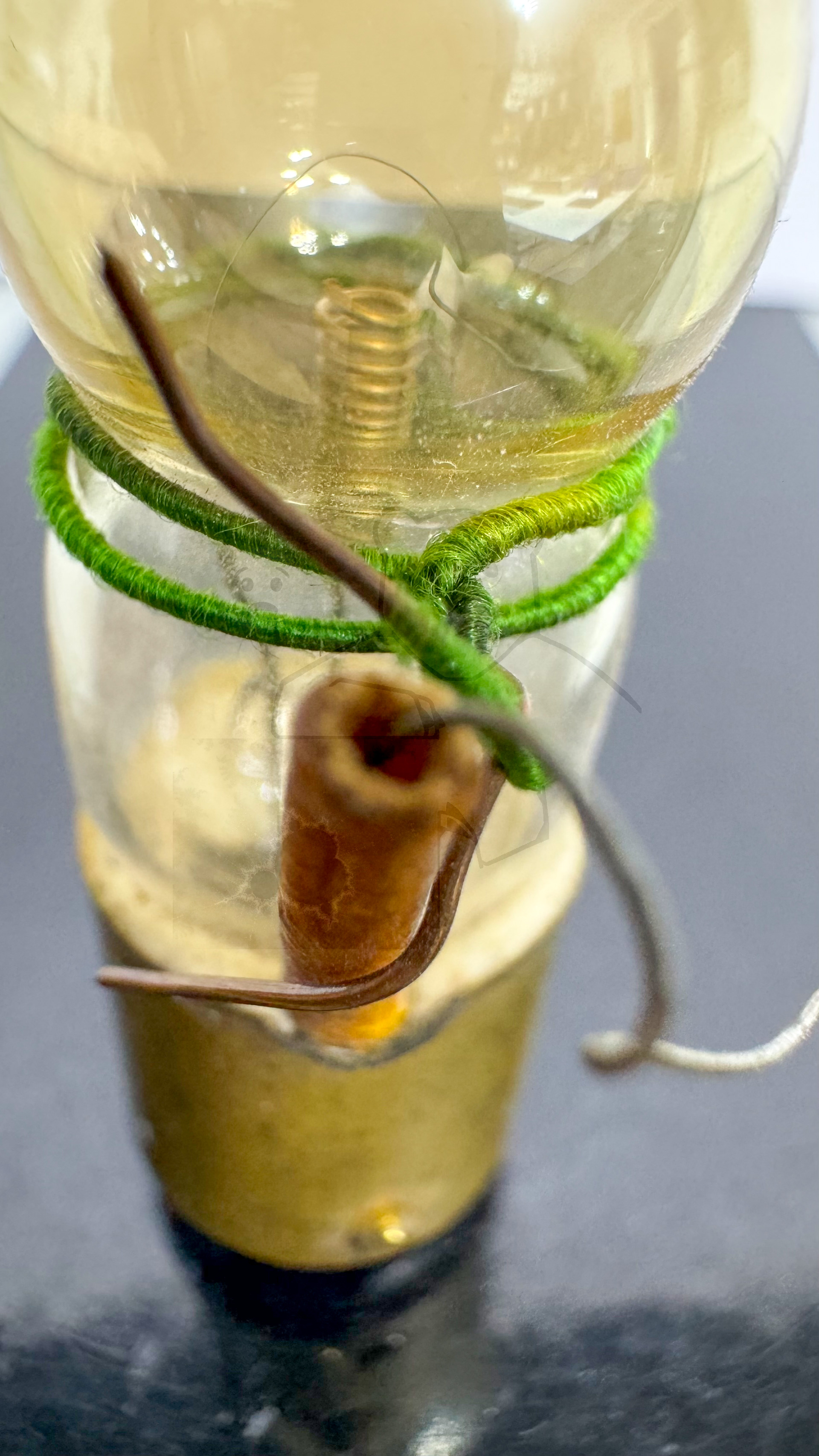 Röhre Welsh 'Peanut' Tube WT501 #7235 Bild 6